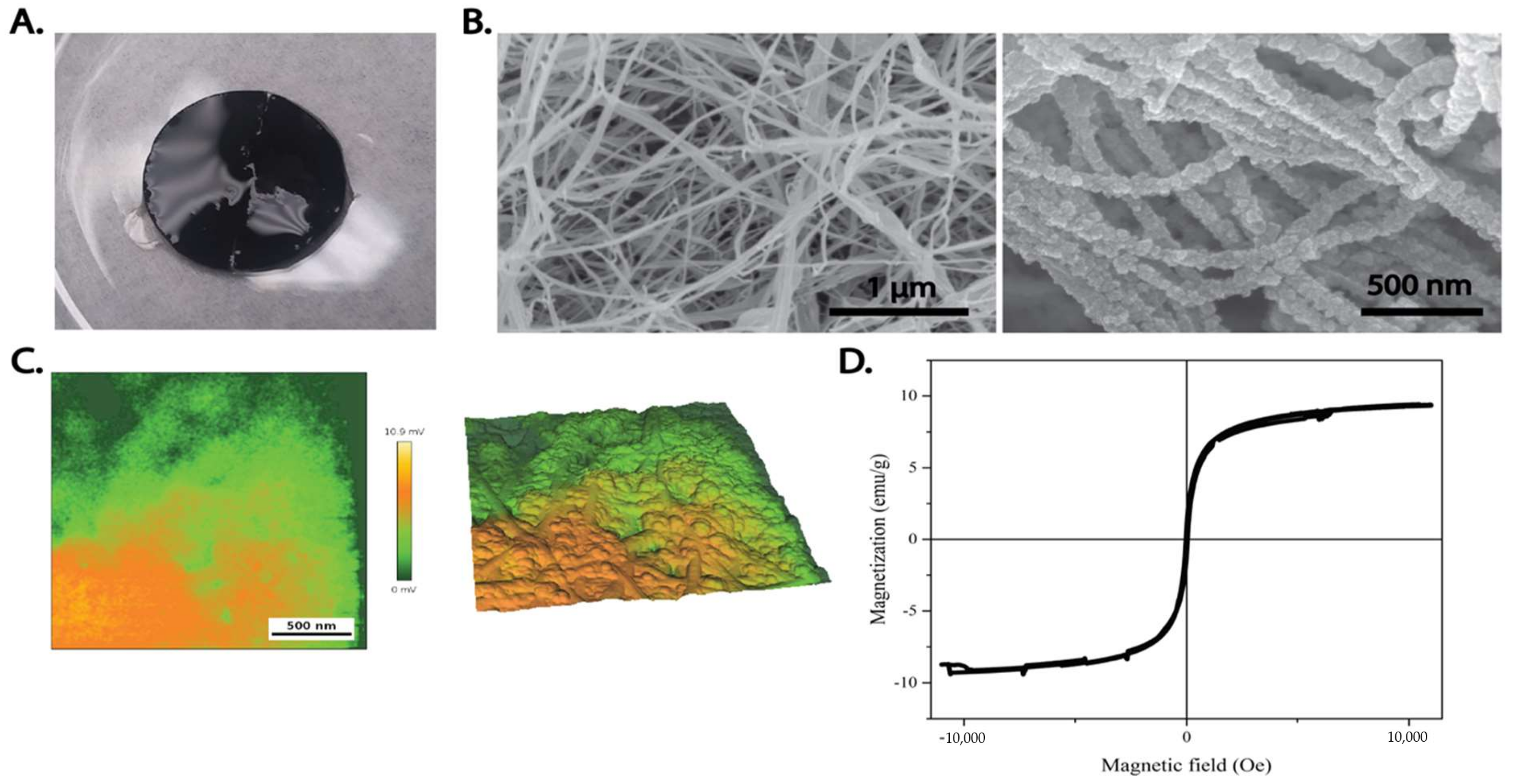 Ijms Free Full Text Surface Modification Of Bacterial Cellulose For Biomedical Applications Html