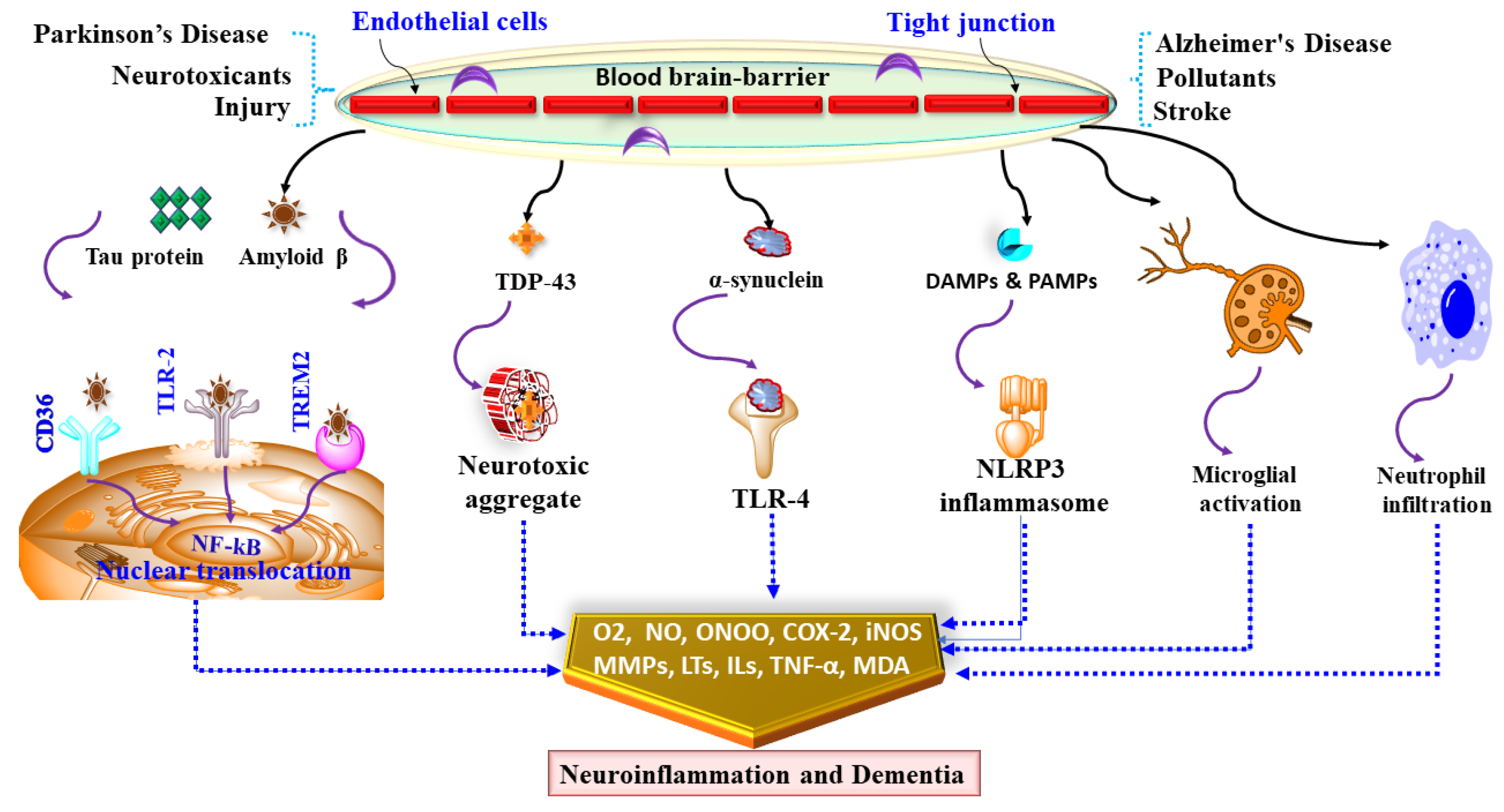 Ijms 23 00616 g002 Ijms 23 00616 g002