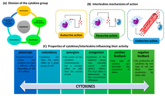 IJMS | Free Full-Text | Biological Role, Mechanism of Action and the  Importance of Interleukins in Kidney Diseases | HTML