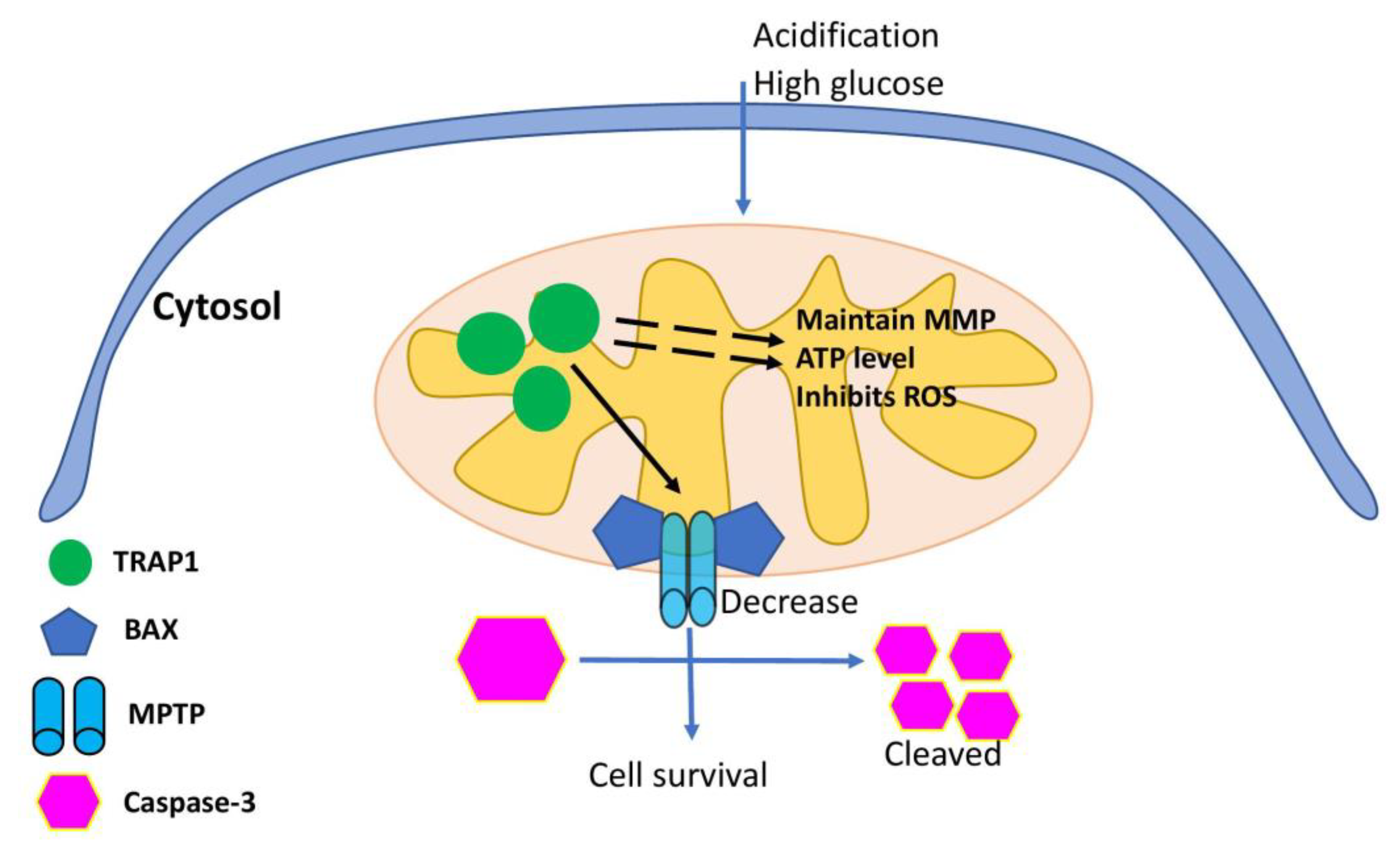 Full article: The Influence Mechanism of Abnormal Immunophilin