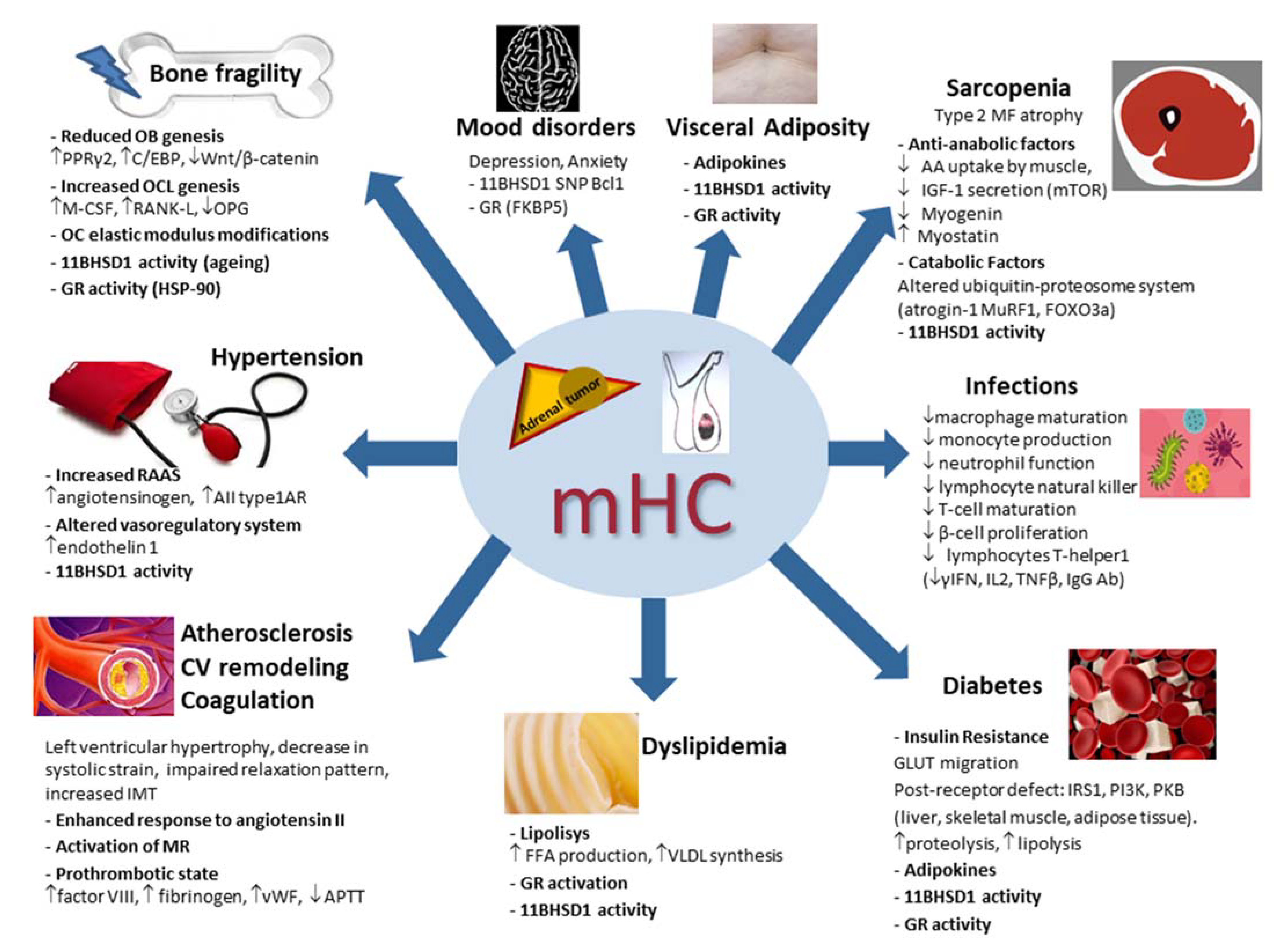 Ijms 23 00673 g002 Ijms 23 00673 g002