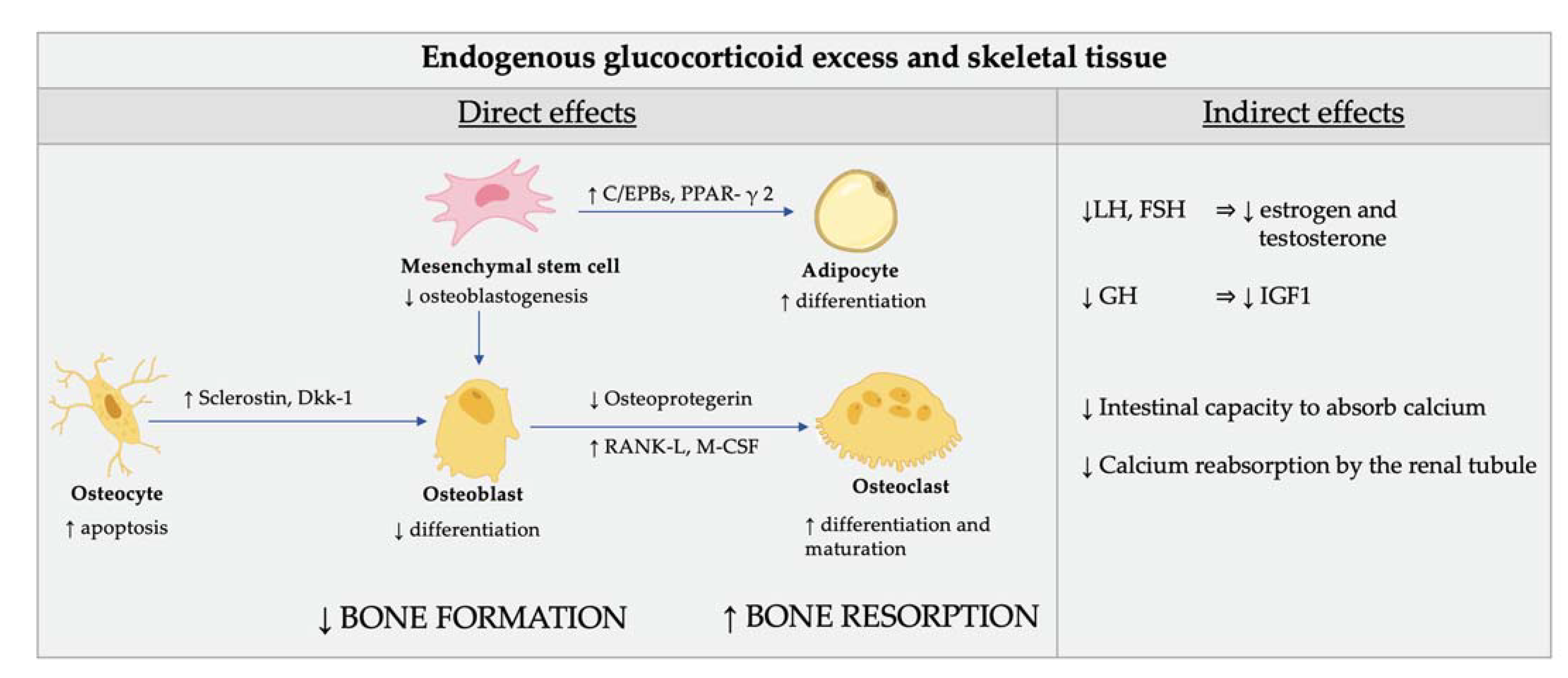 Ijms 23 00673 g003 Ijms 23 00673 g003