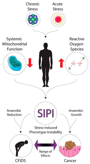 https://www.mdpi.com/ijms/ijms-23-00691/article_deploy/html/images/ijms-23-00691-g001-550.jpg