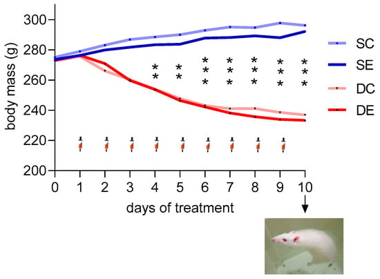 https://www.mdpi.com/ijms/ijms-23-00748/article_deploy/html/images/ijms-23-00748-g001-550.jpg