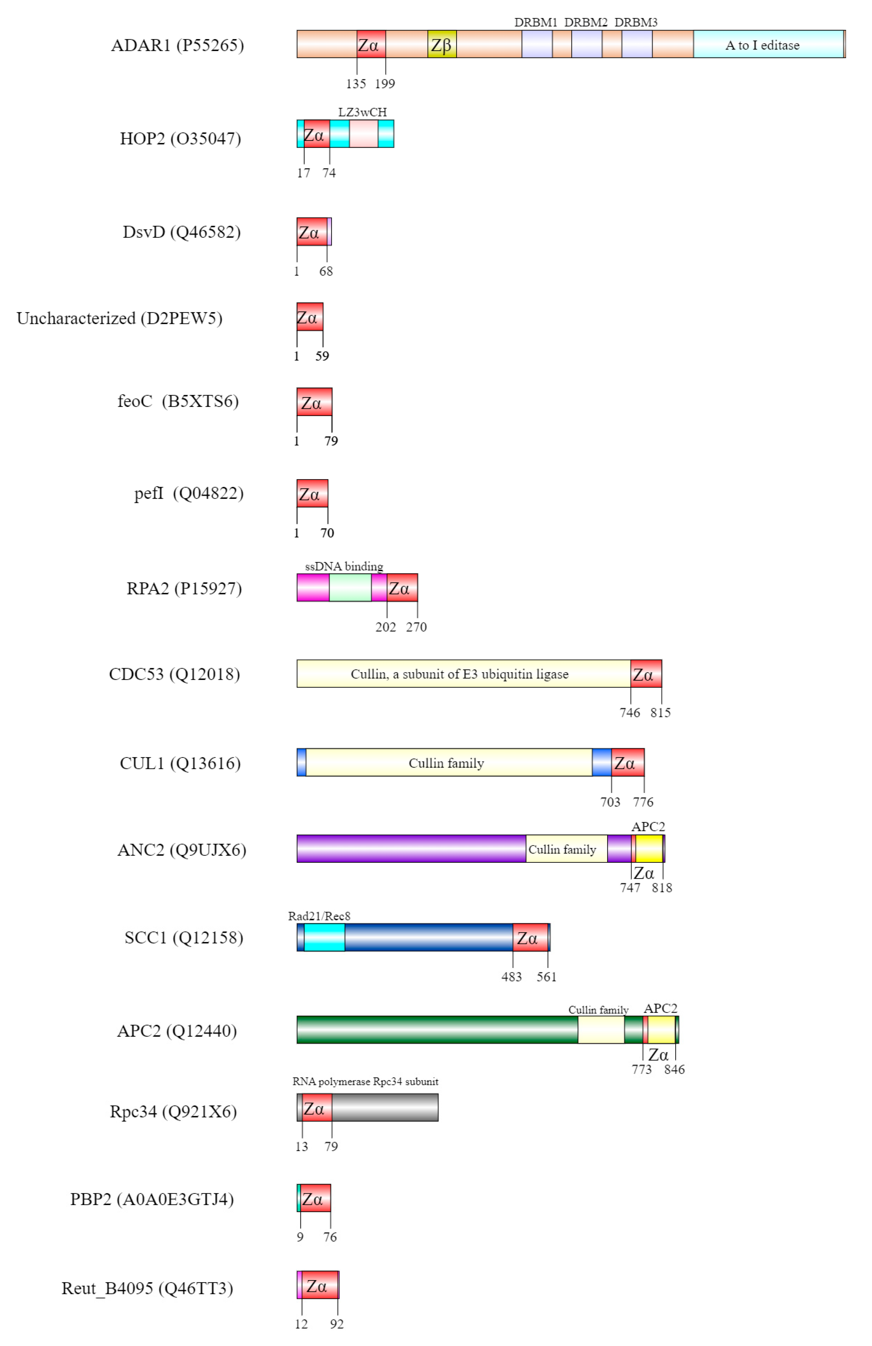 Ijms 23 00768 g004 Ijms 23 00768 g004