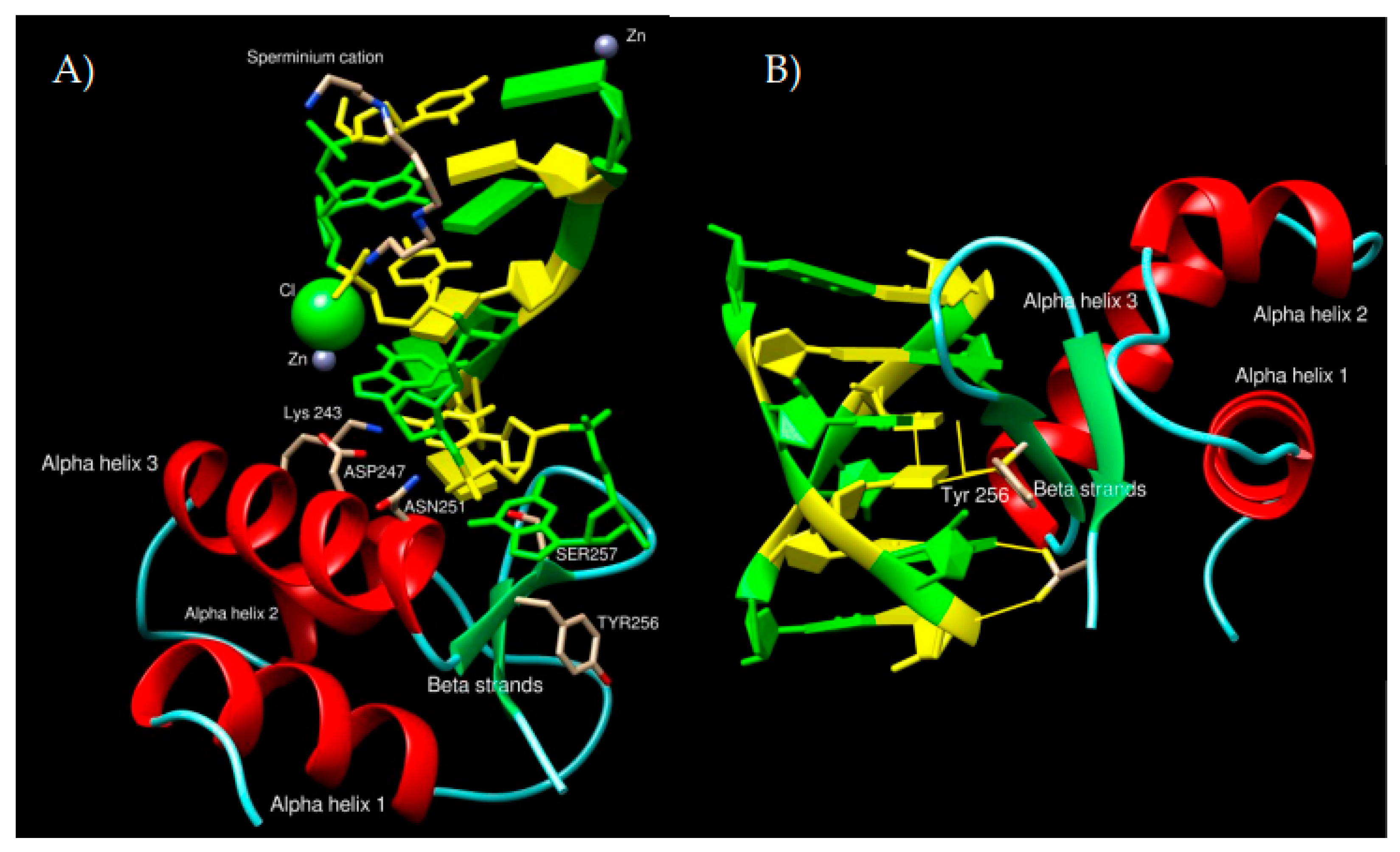 Ijms 23 00768 g005 Ijms 23 00768 g005