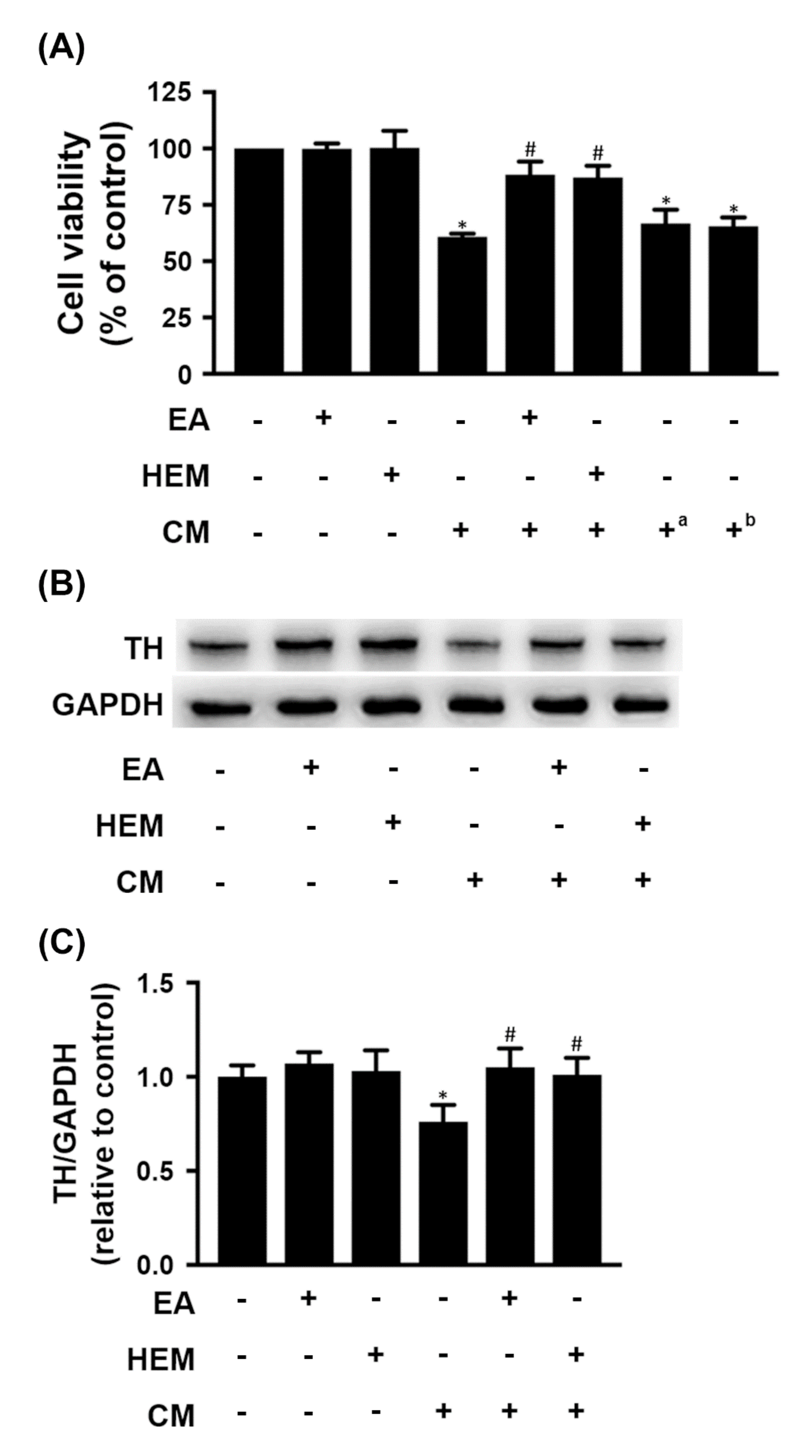 Ijms 23 00810 g005