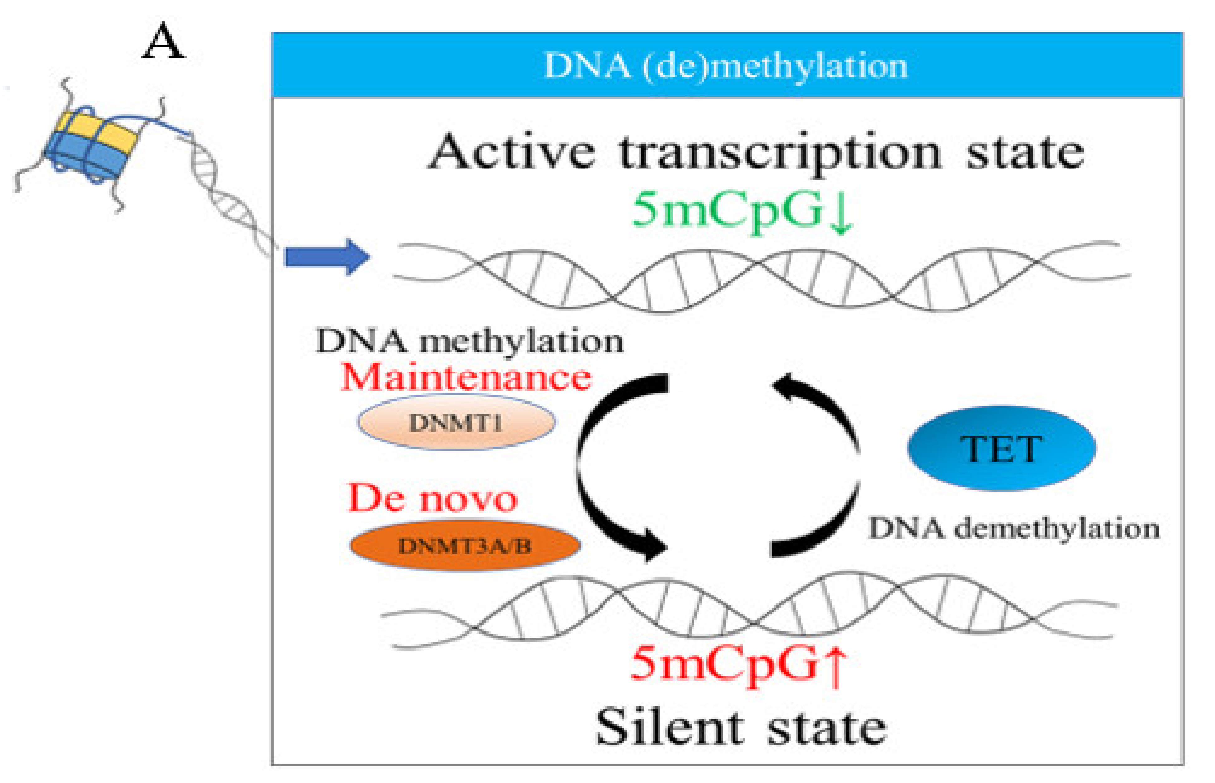 Ijms 23 00843 g001a Ijms 23 00843 g001a