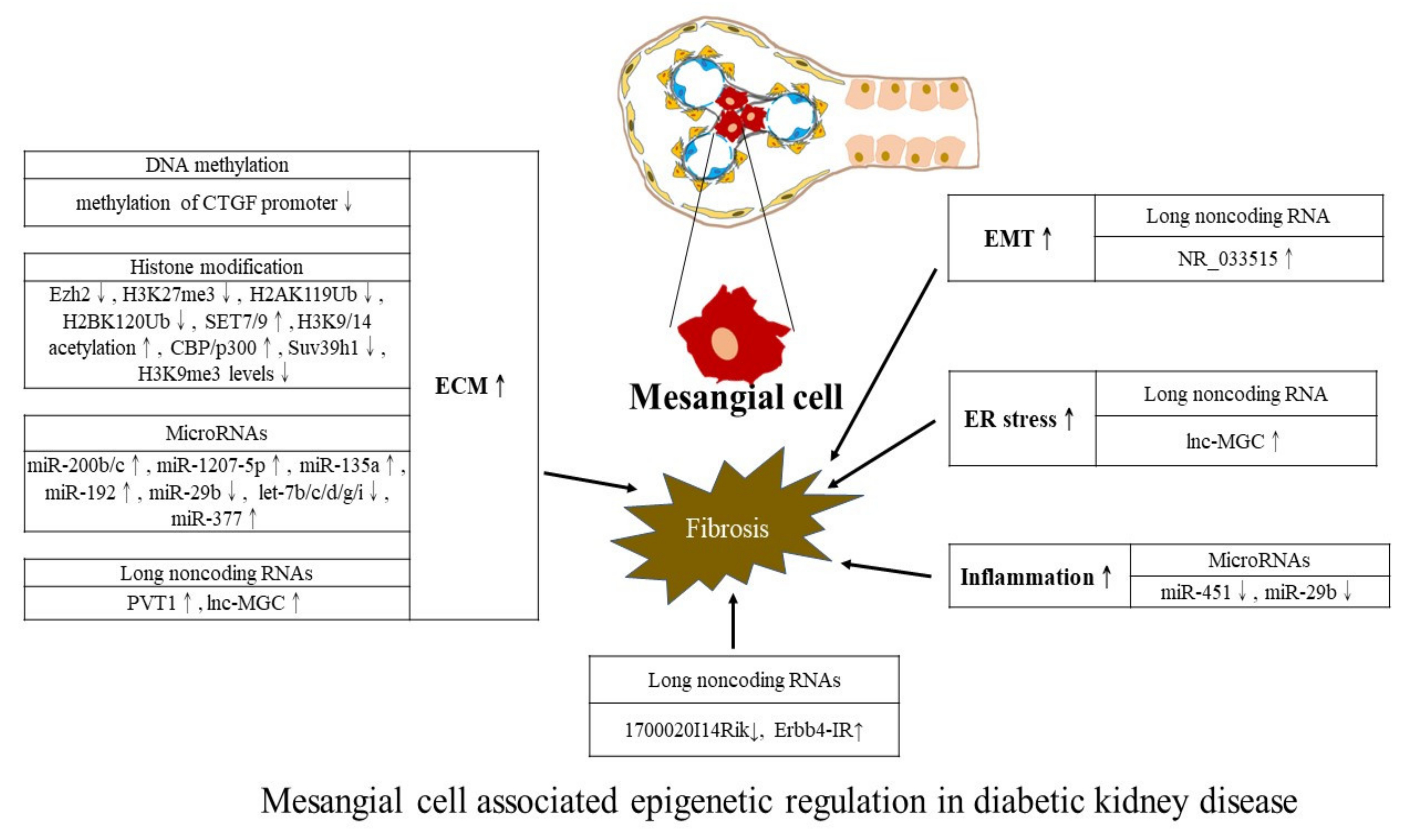 Ijms 23 00843 g002 Ijms 23 00843 g002