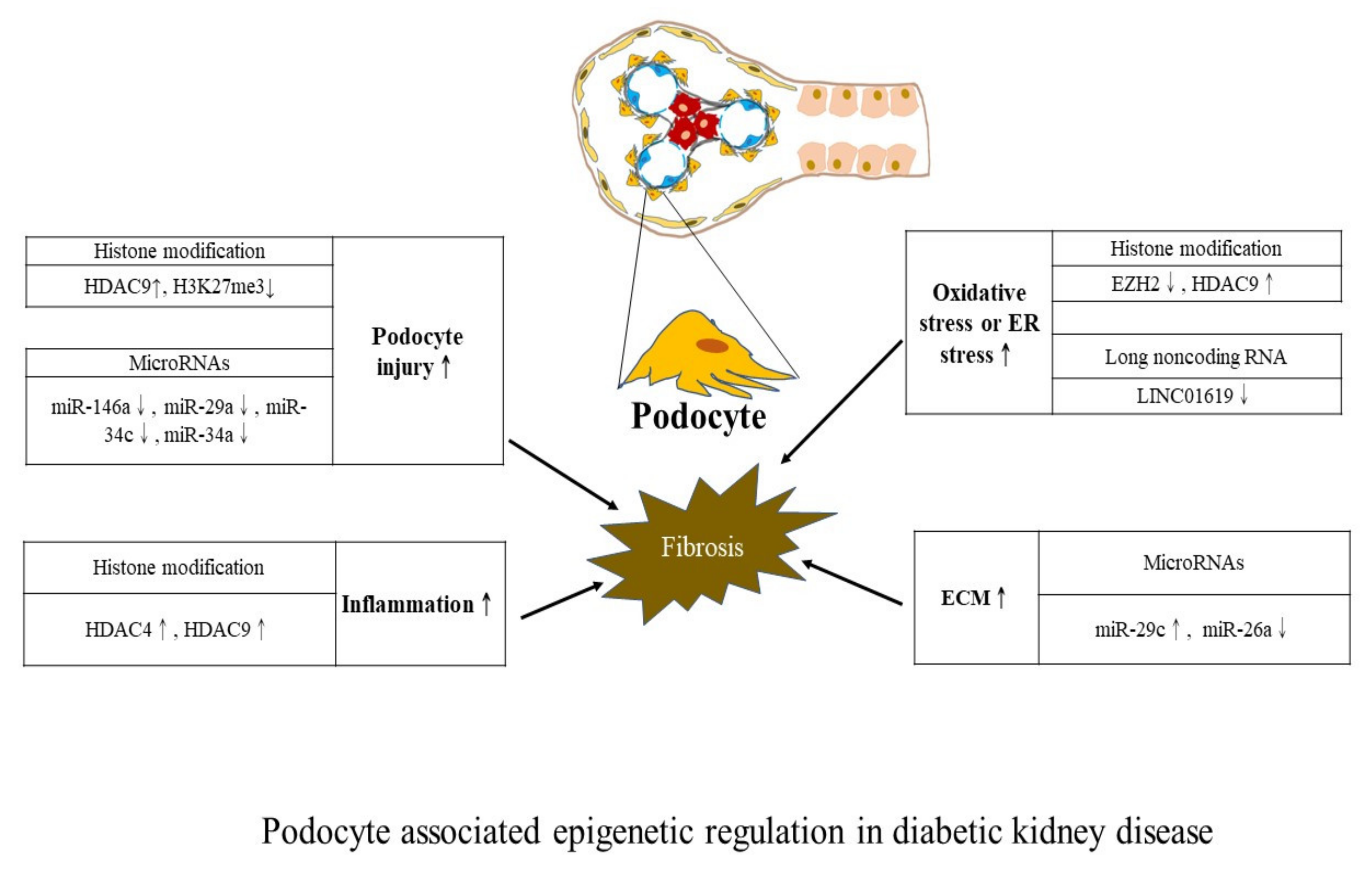 Ijms 23 00843 g003 Ijms 23 00843 g003