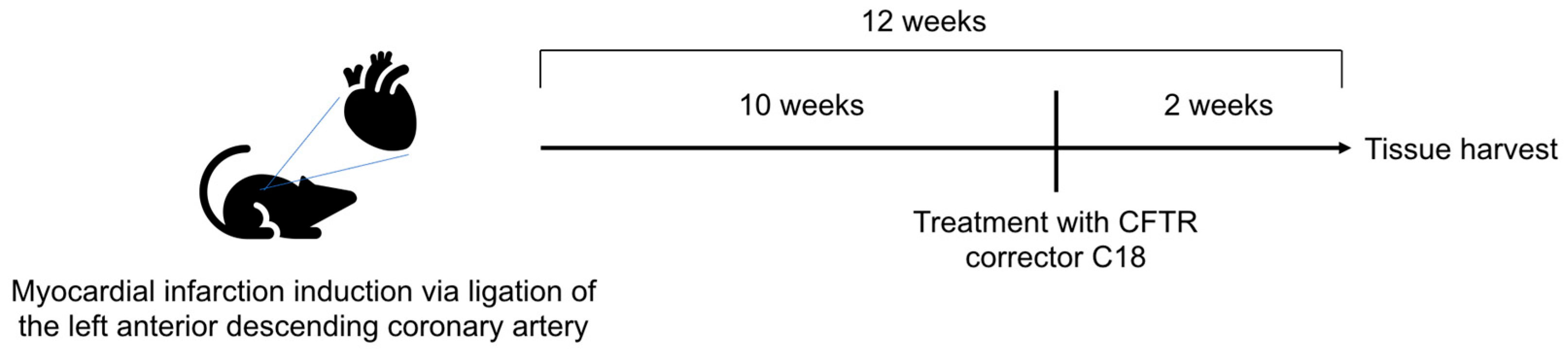 Ijms 23 00866 g002 Ijms 23 00866 g002