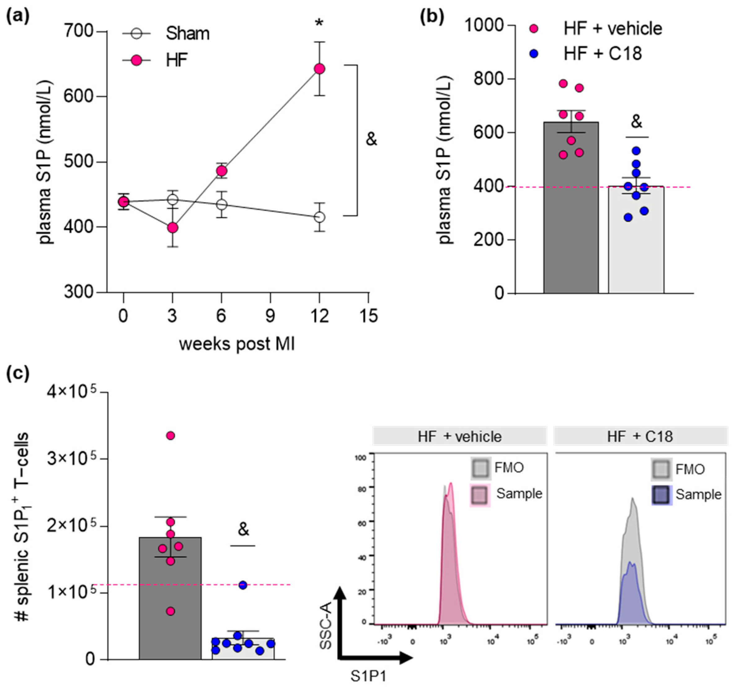 Ijms 23 00866 g004 Ijms 23 00866 g004