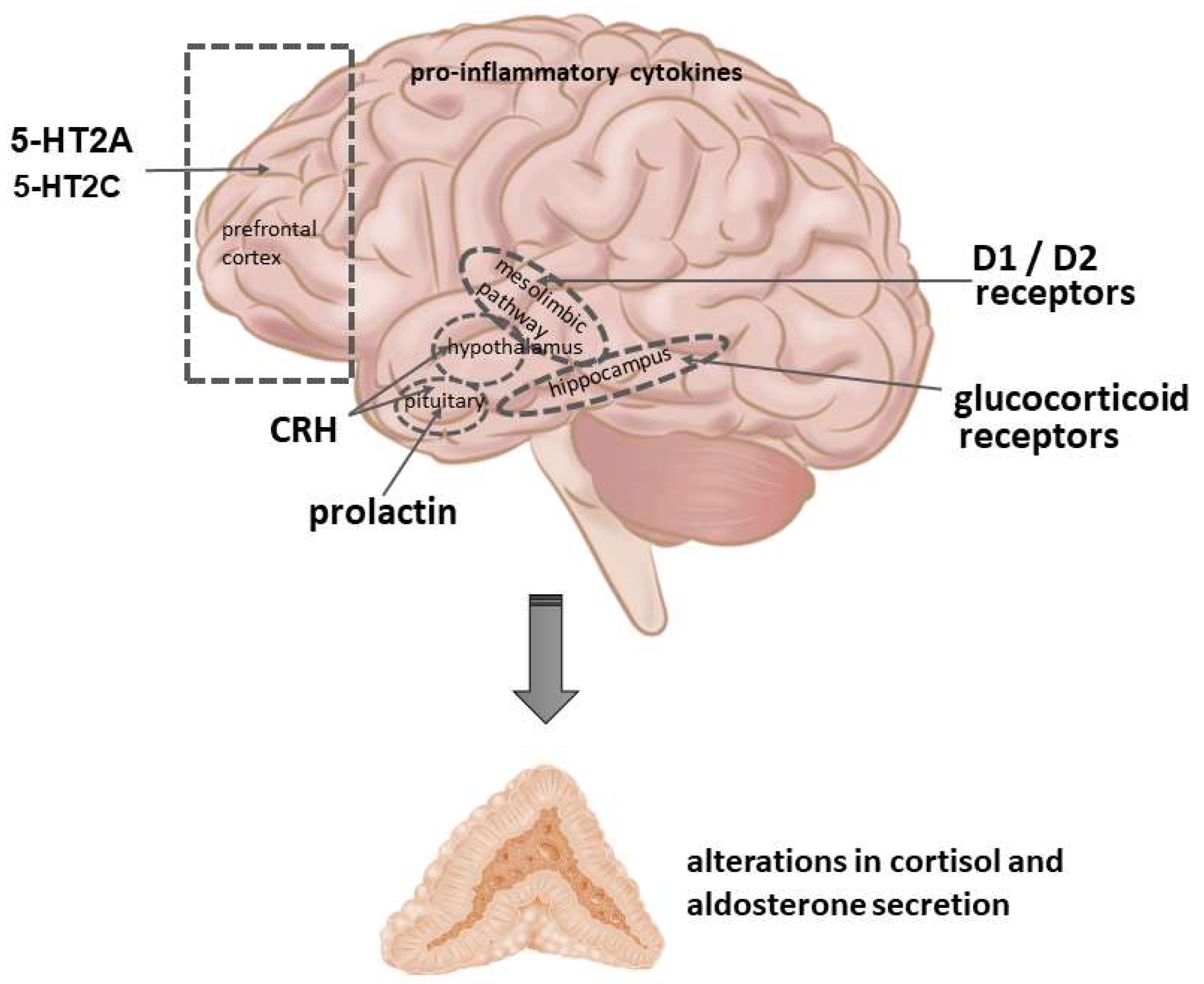 Ijms 23 00908 g002 Ijms 23 00908 g002