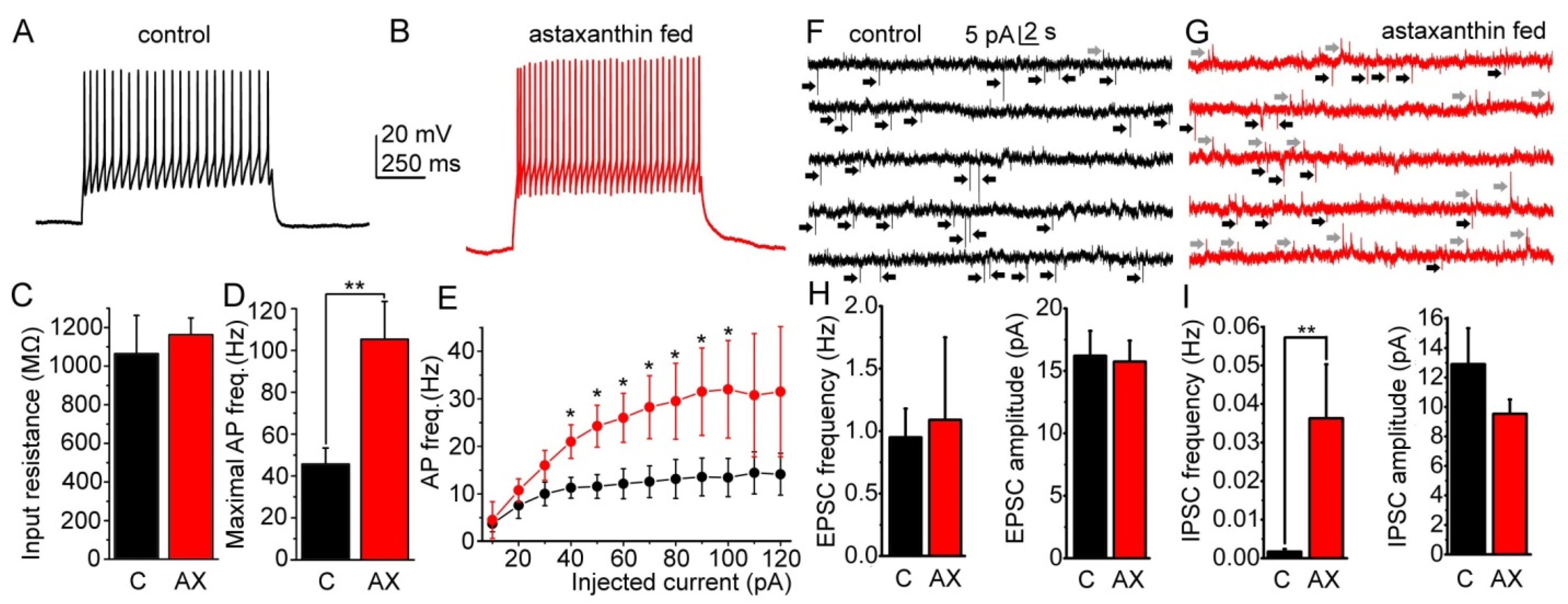 IJMS | Free Full-Text | Astaxanthin Exerts Anabolic Effects via 