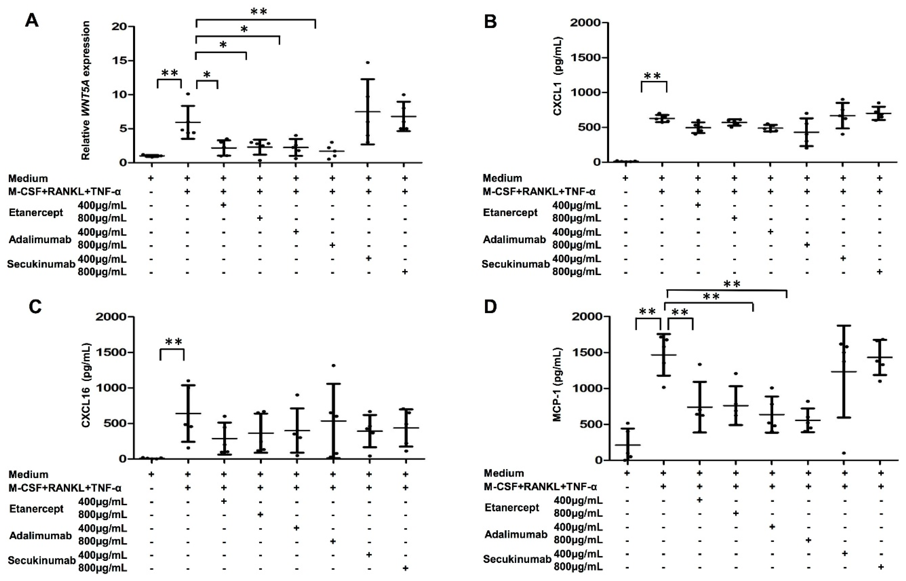 IJMS | Free Full-Text | TNF-α Activating Osteoclasts in