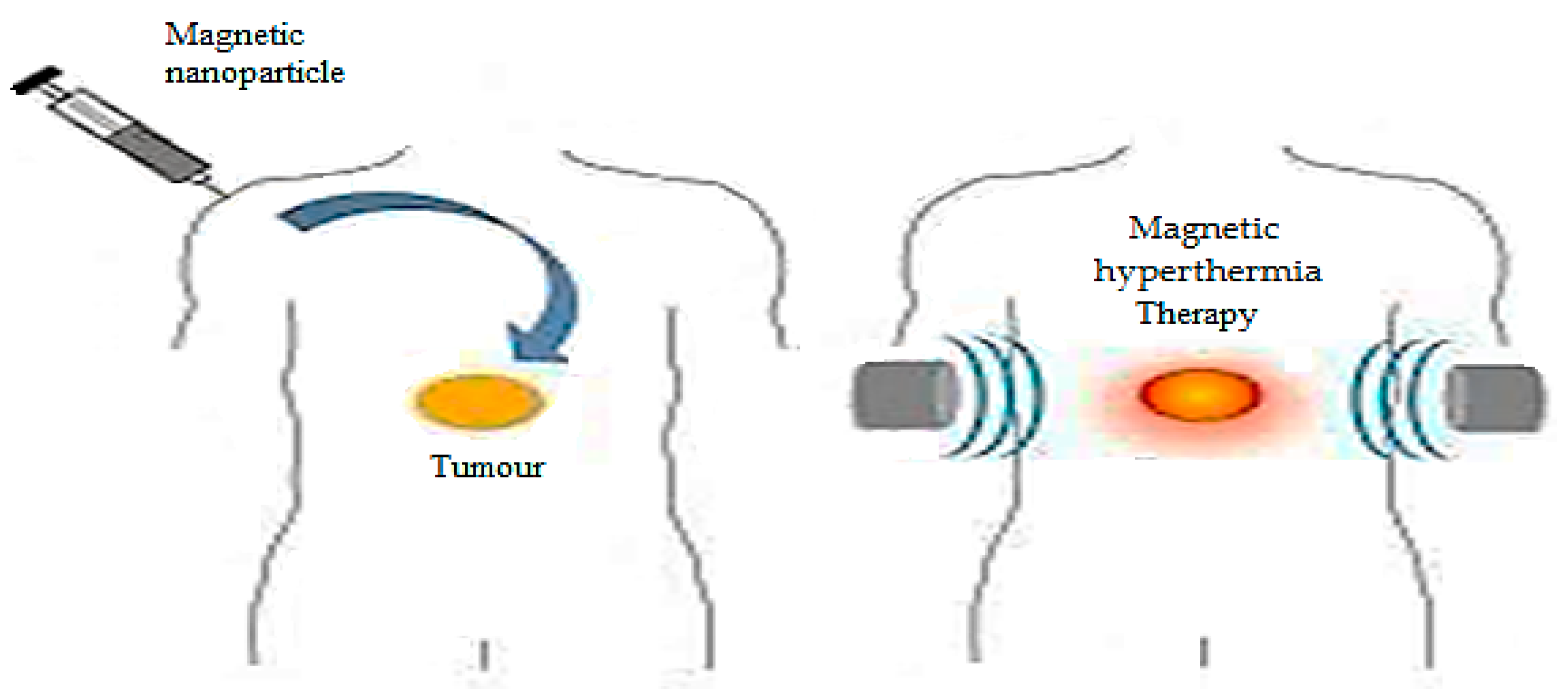Ijms 23 01023 g008 Ijms 23 01023 g008