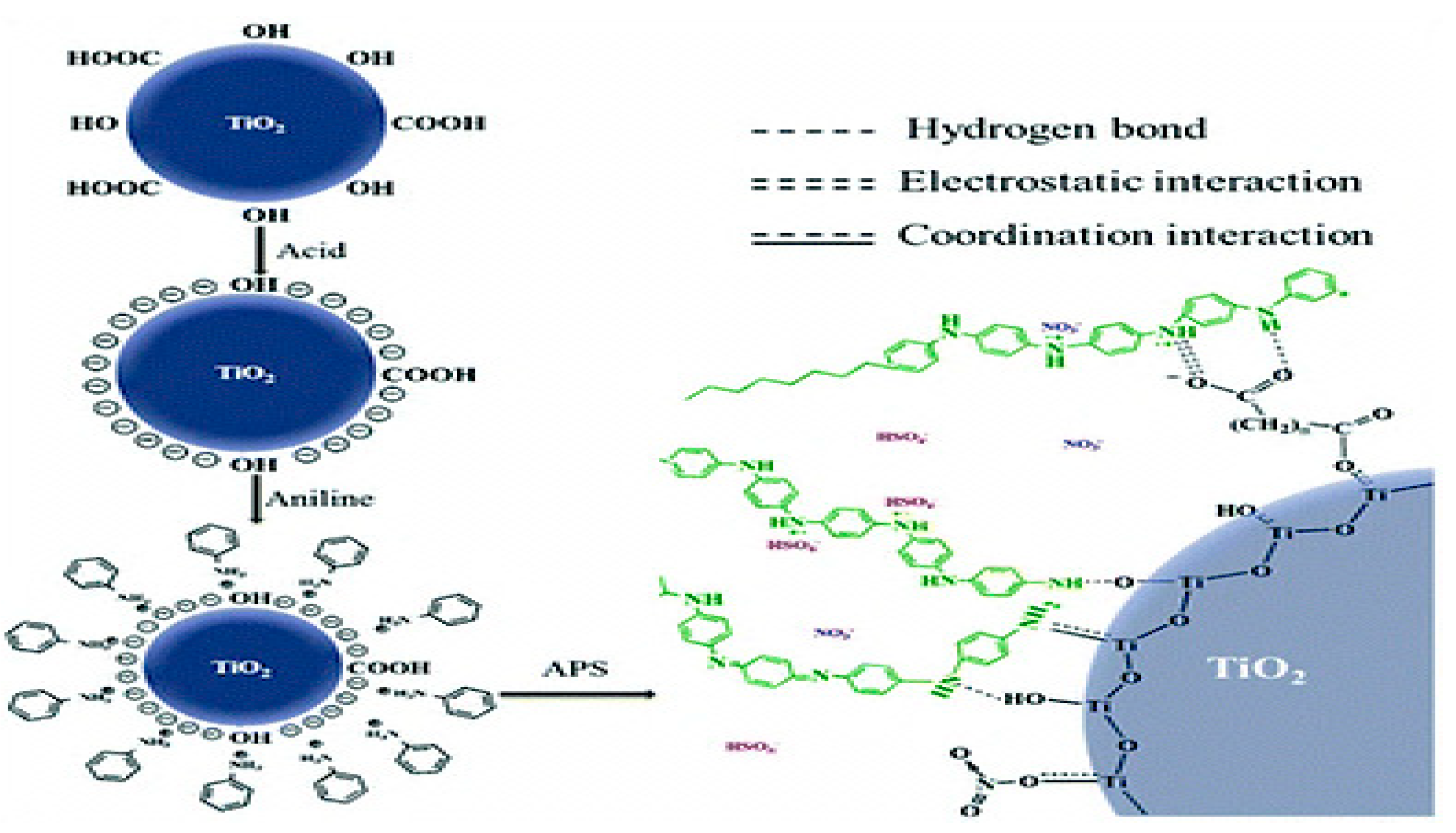 Ijms 23 01023 g009 Ijms 23 01023 g009