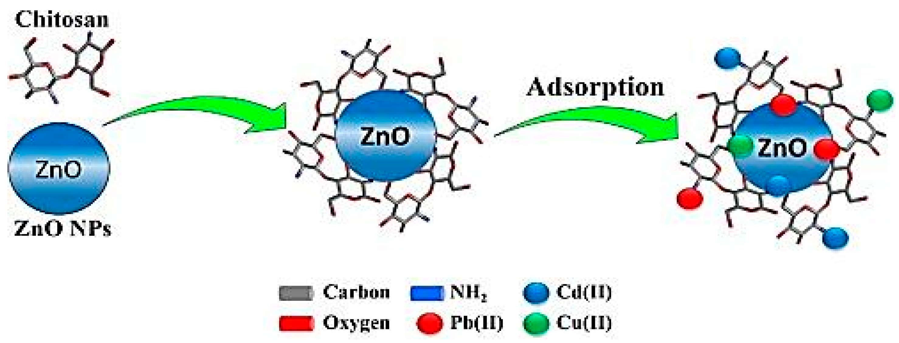 Ijms 23 01023 g010 Ijms 23 01023 g010