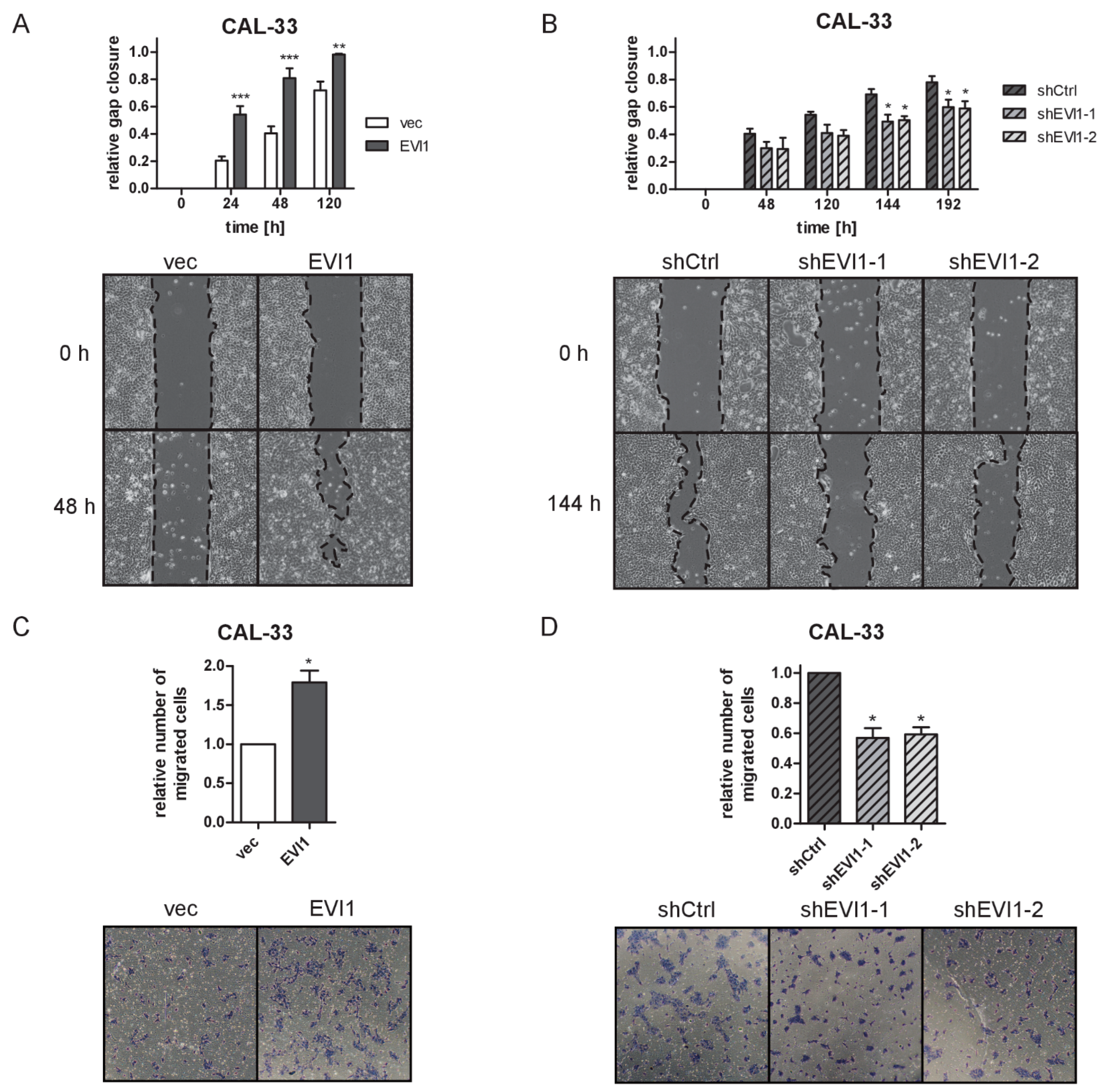 Ijms 23 01050 g004 Ijms 23 01050 g004