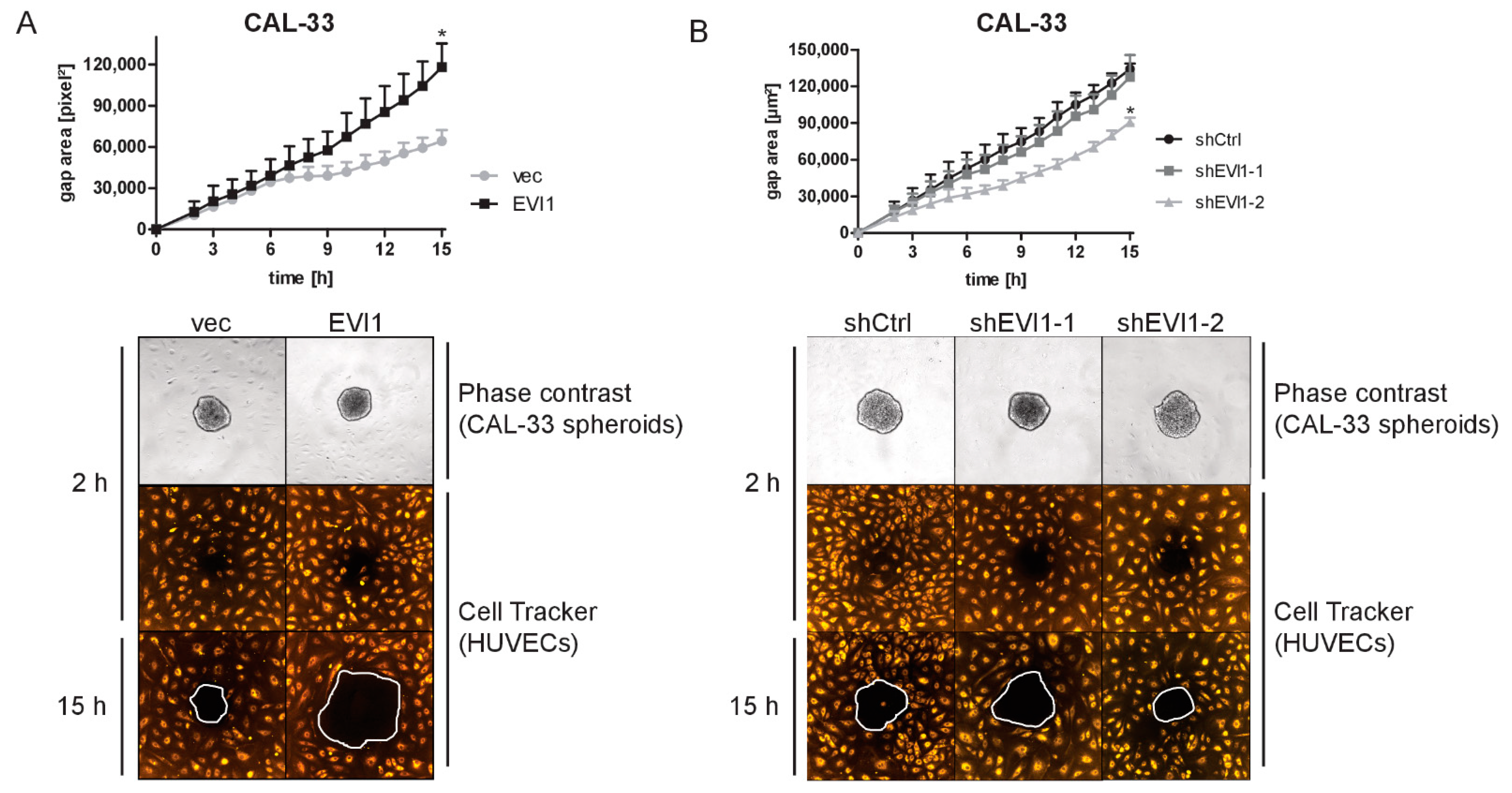 Ijms 23 01050 g005 Ijms 23 01050 g005