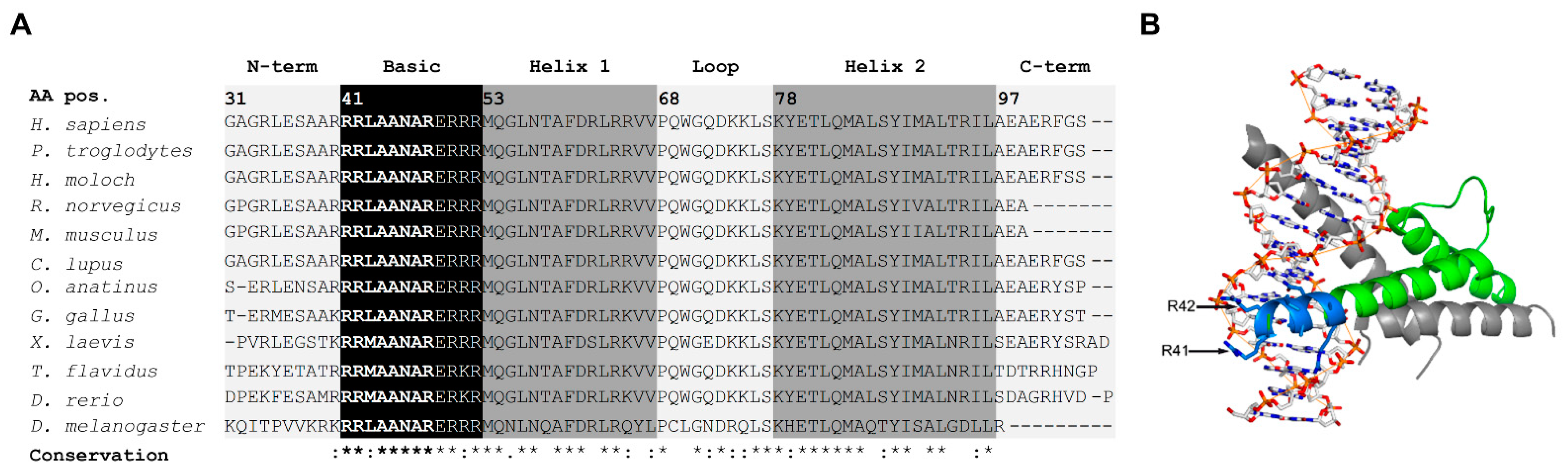 Ijms 23 01053 g001 Ijms 23 01053 g001