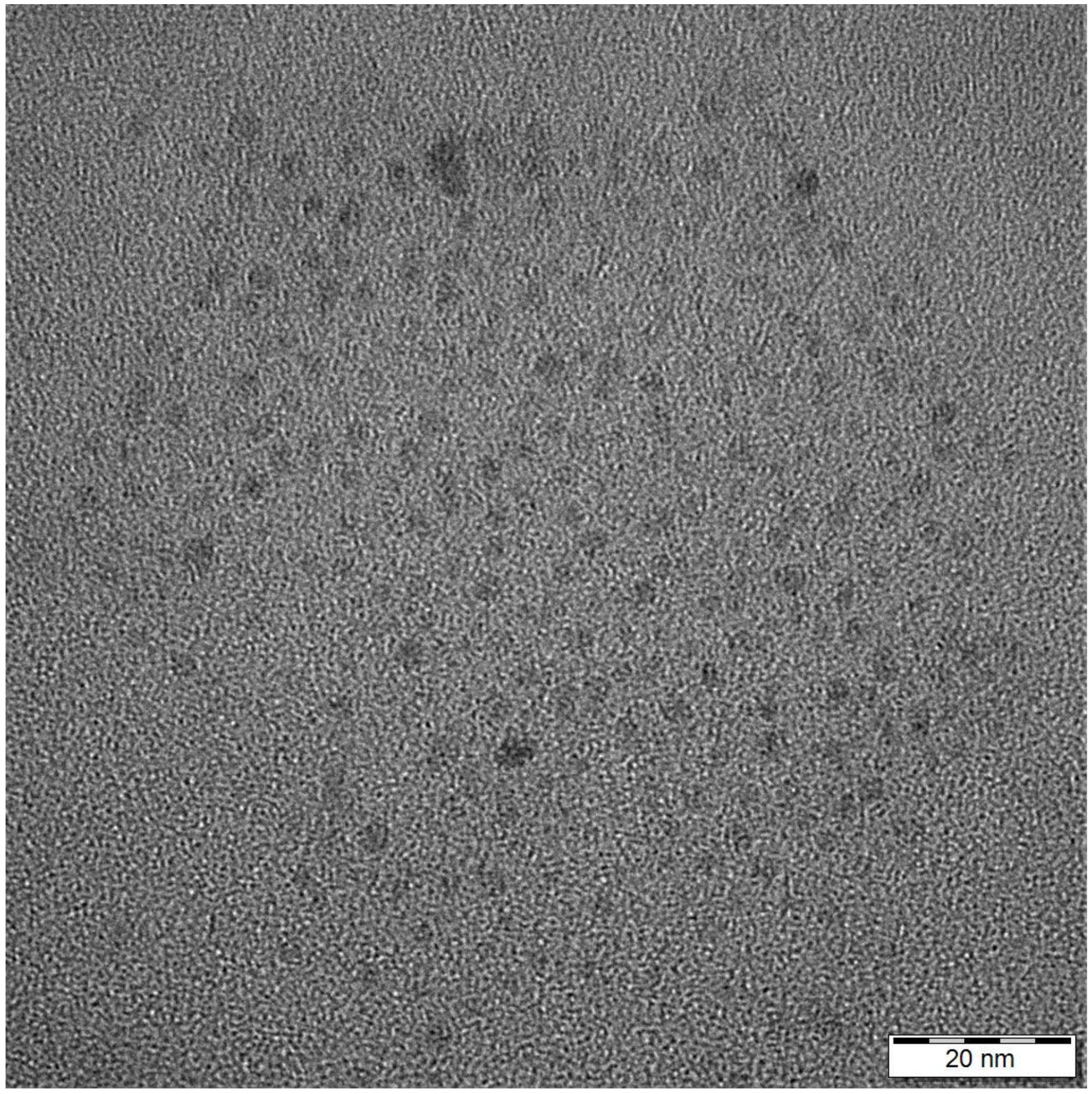 Ijms 23 01077 g012 Ijms 23 01077 g012