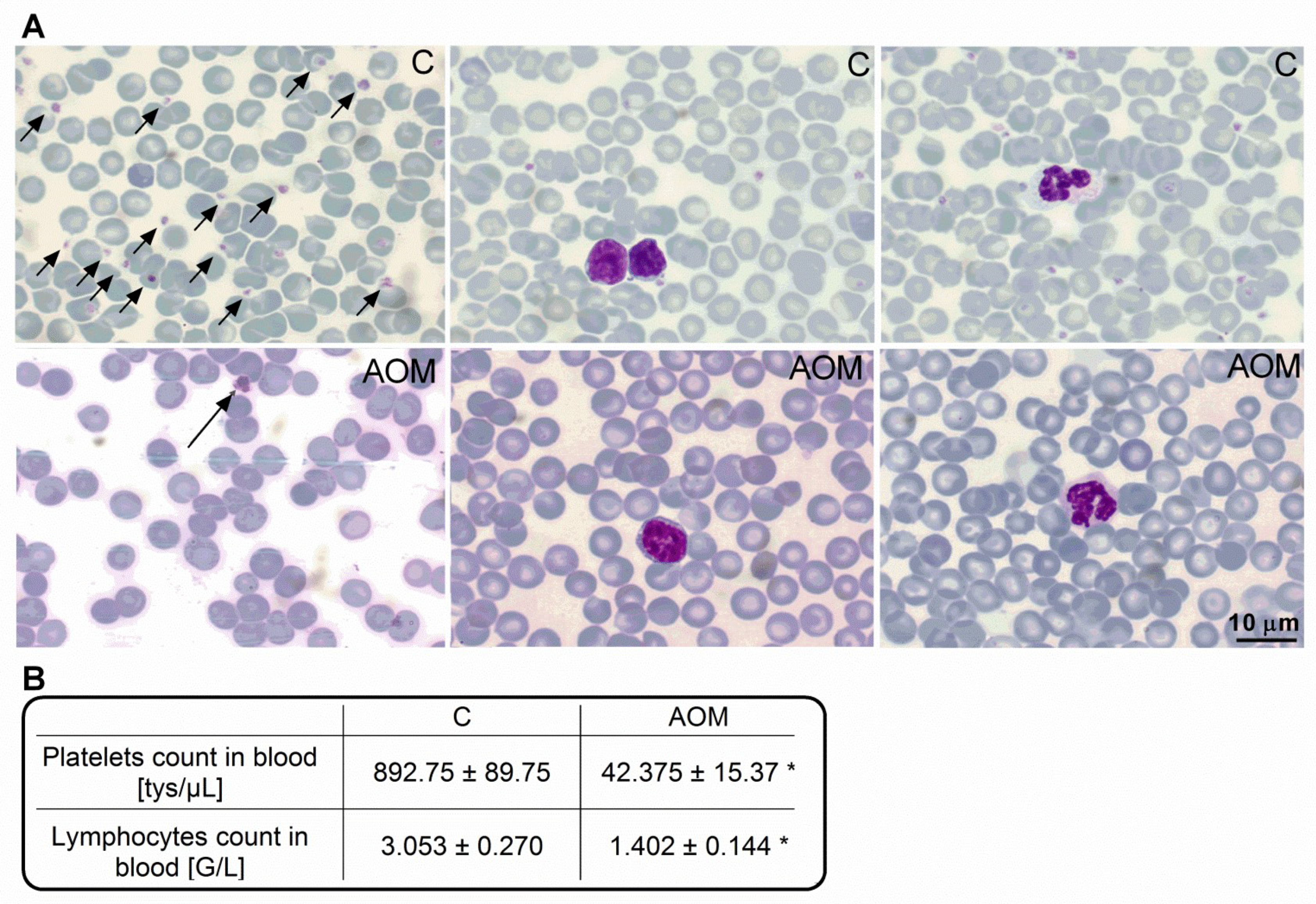 Ijms 23 01081 g001 Ijms 23 01081 g001