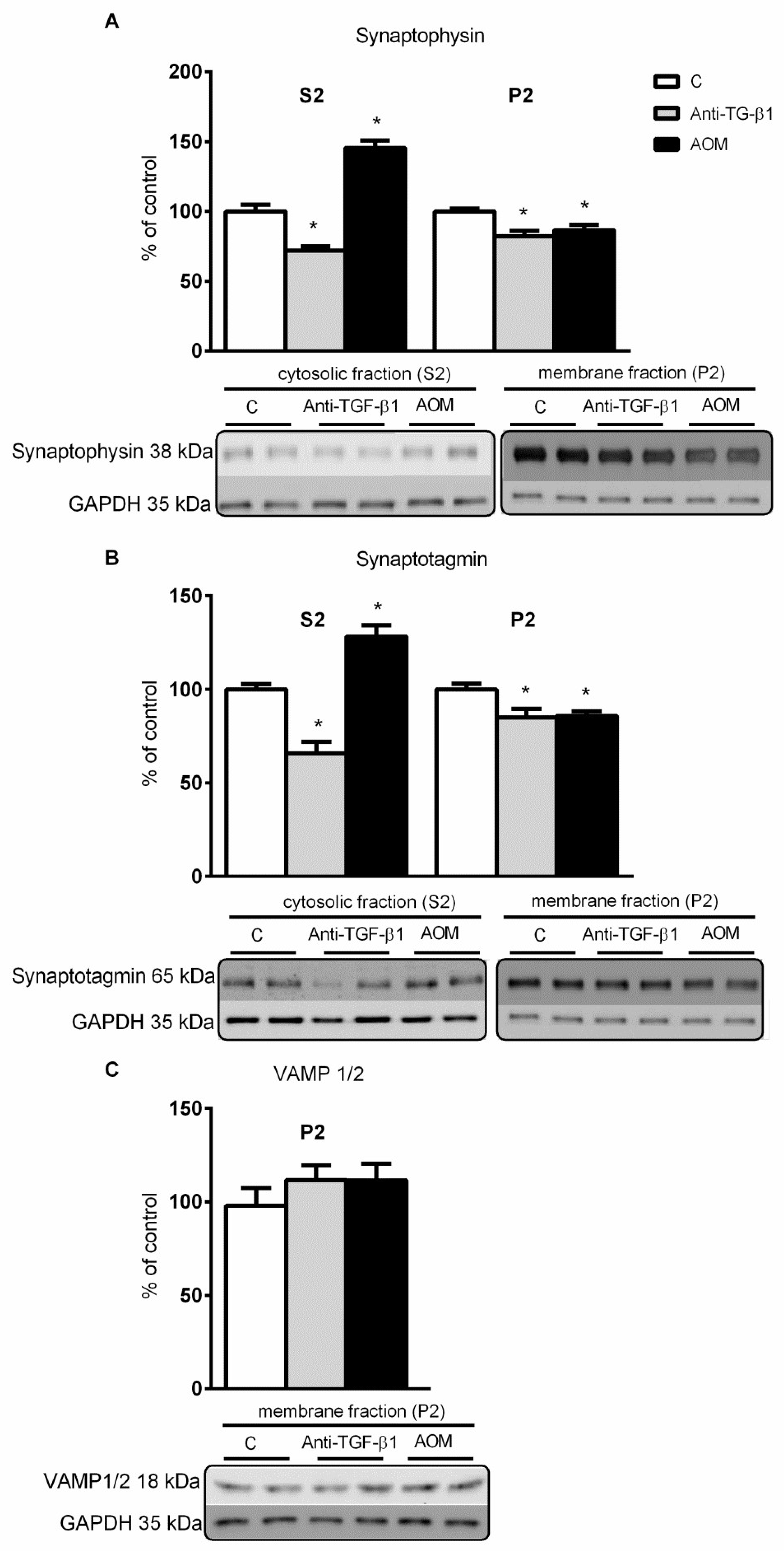 Ijms 23 01081 g004 Ijms 23 01081 g004