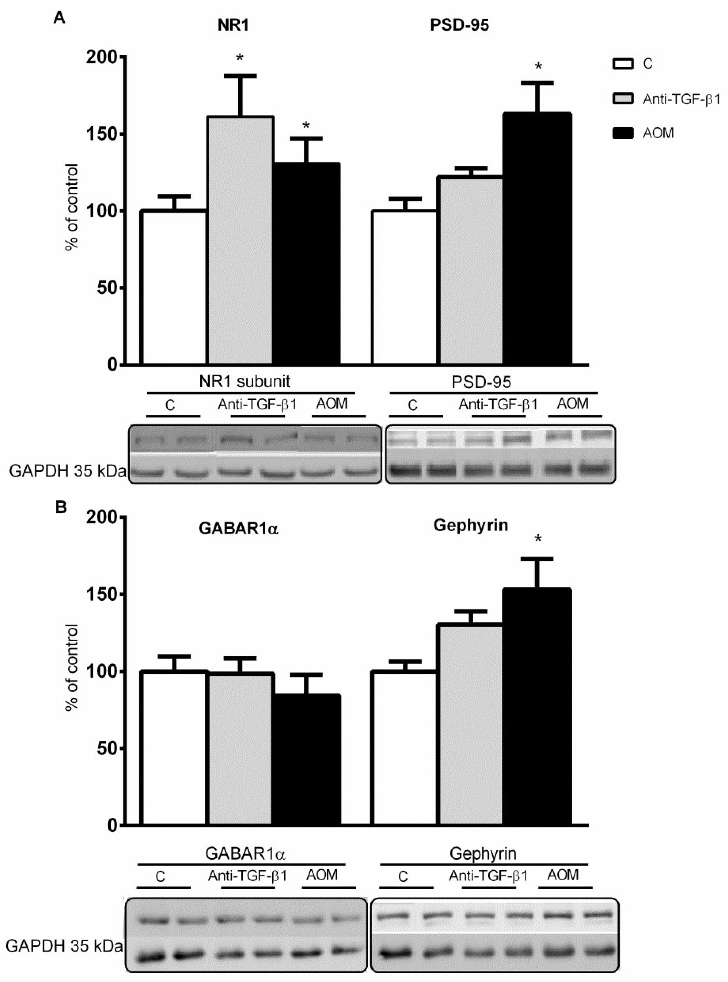 Ijms 23 01081 g005 Ijms 23 01081 g005