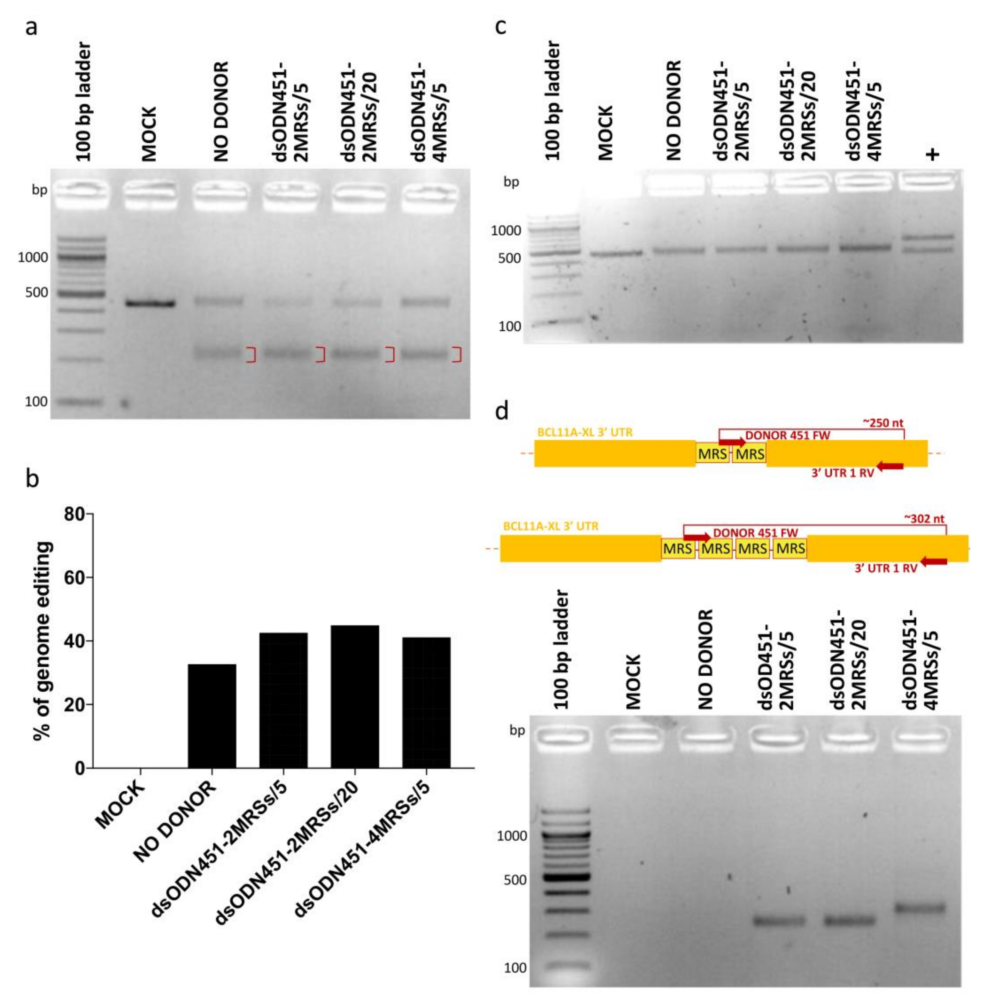 Ijms 23 01082 g004 Ijms 23 01082 g004