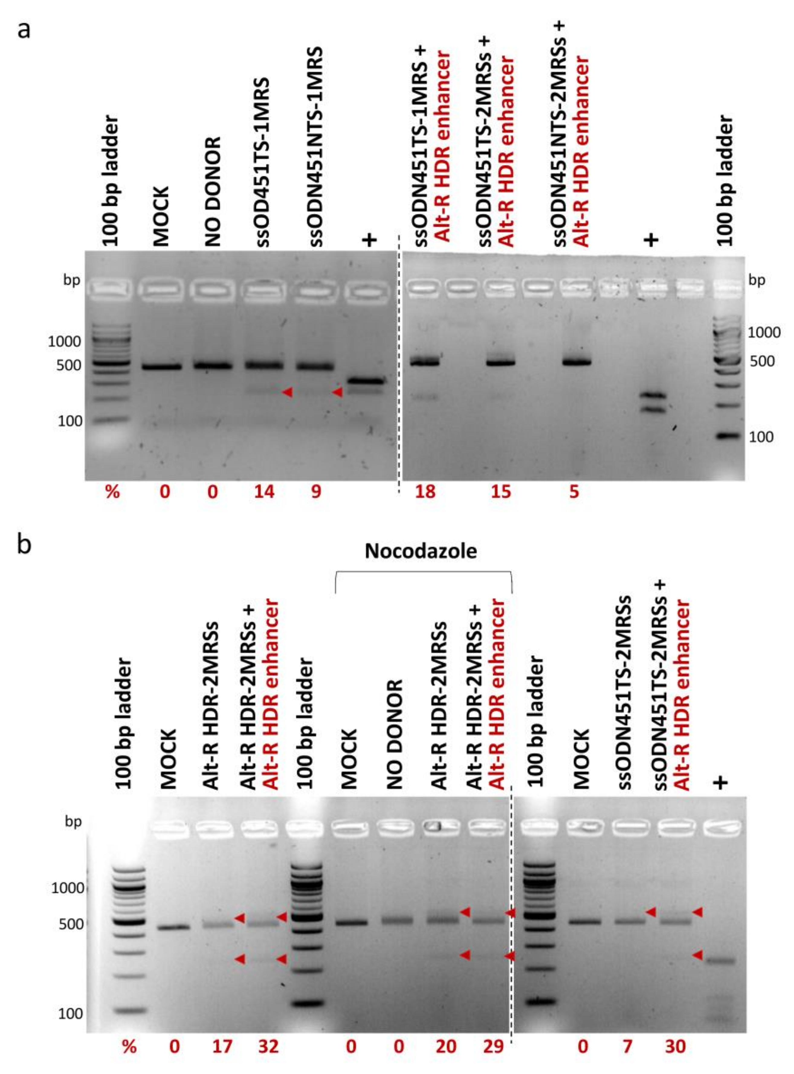 Ijms 23 01082 g006 Ijms 23 01082 g006