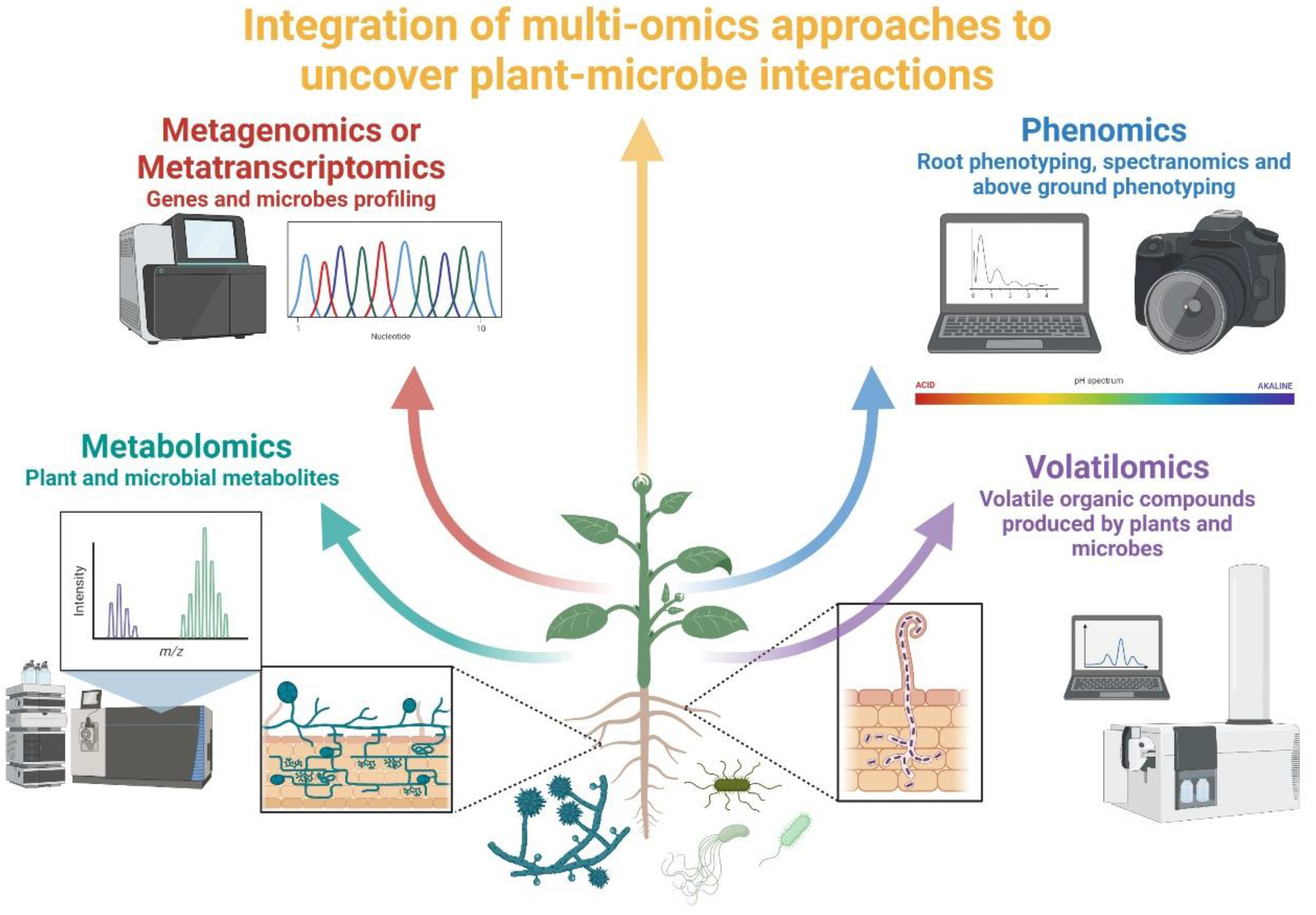 Ijms 23 01091 g002 Ijms 23 01091 g002