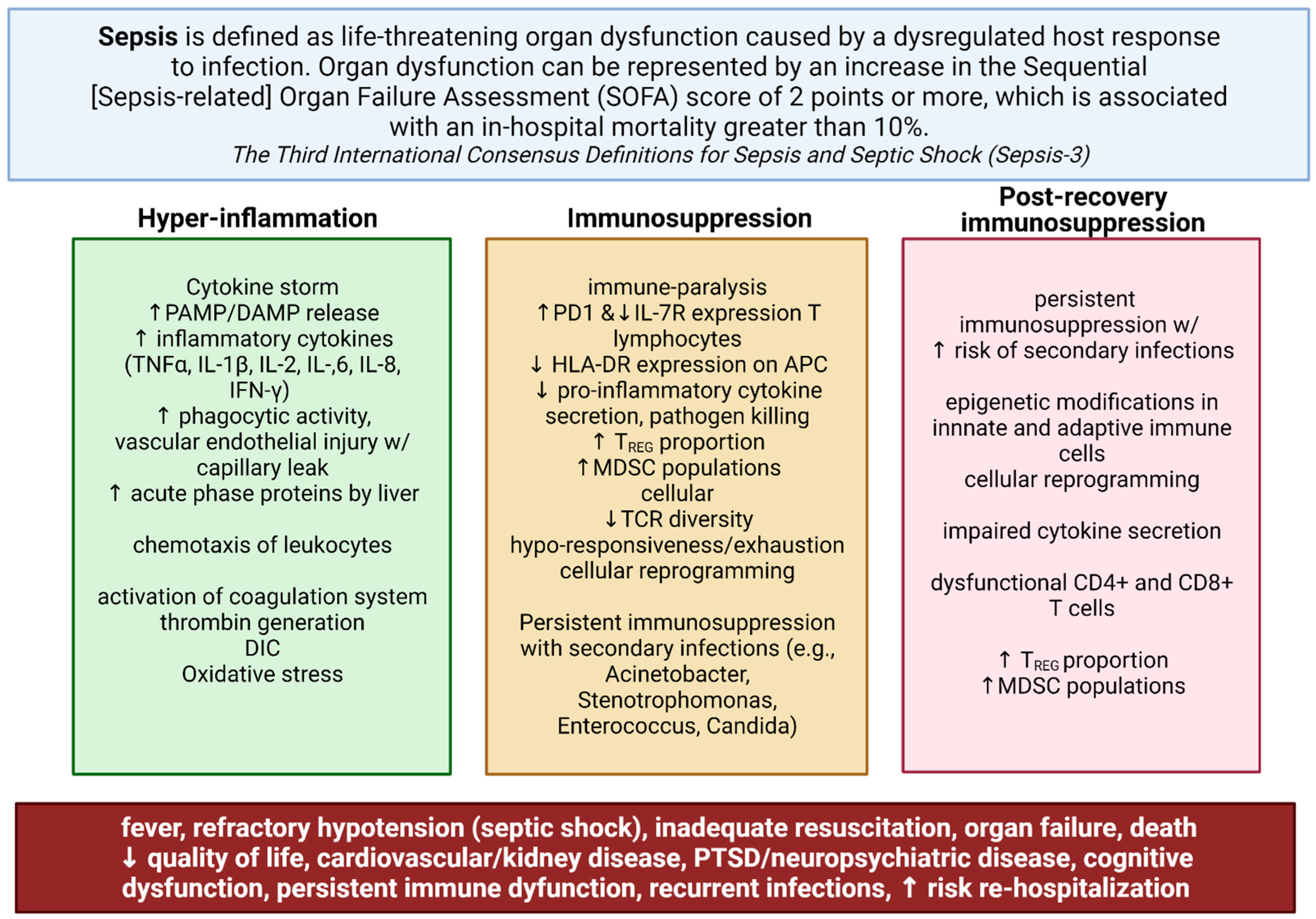Ijms 23 01097 g001 Ijms 23 01097 g001