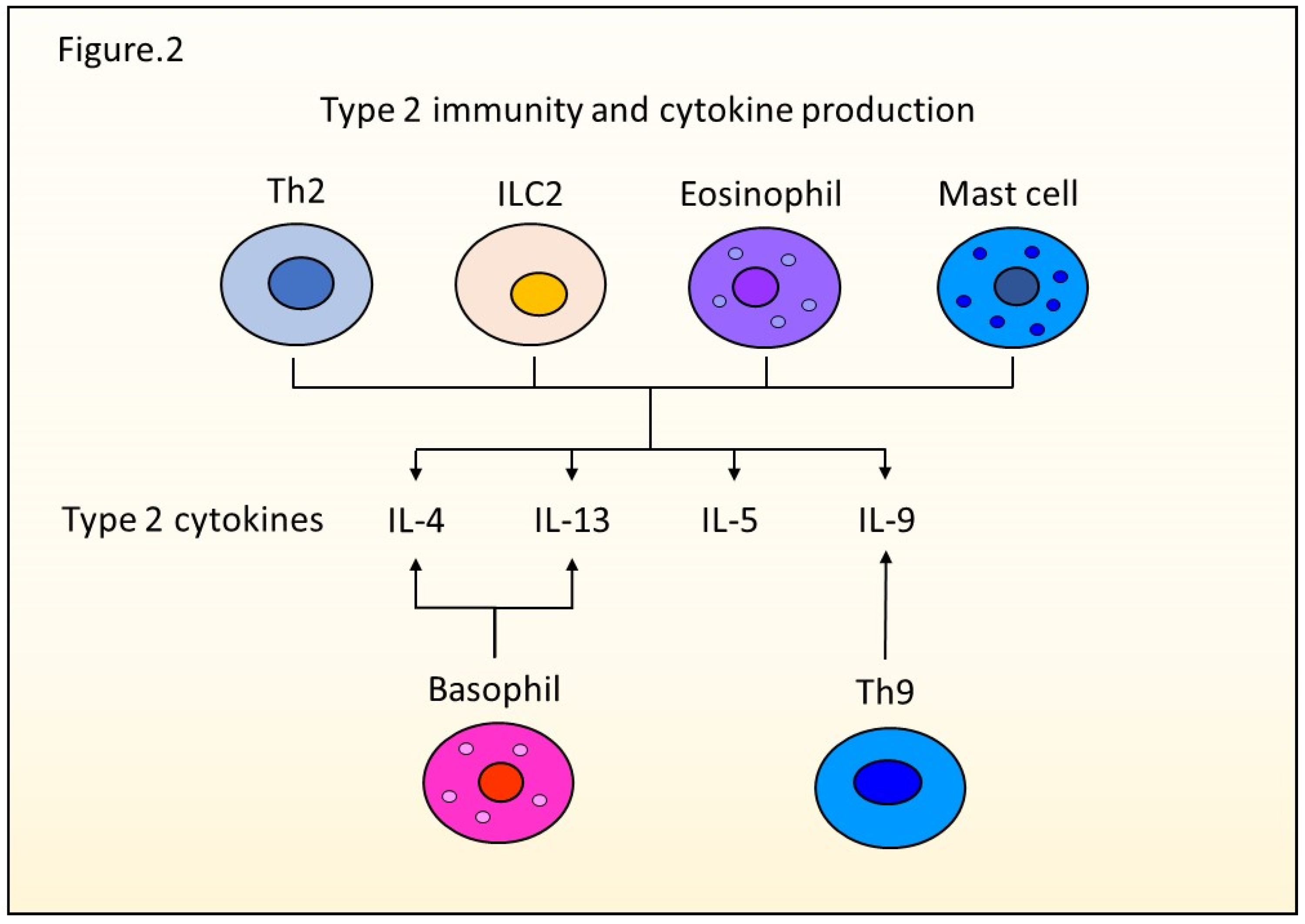 Ijms 23 01104 g002 Ijms 23 01104 g002