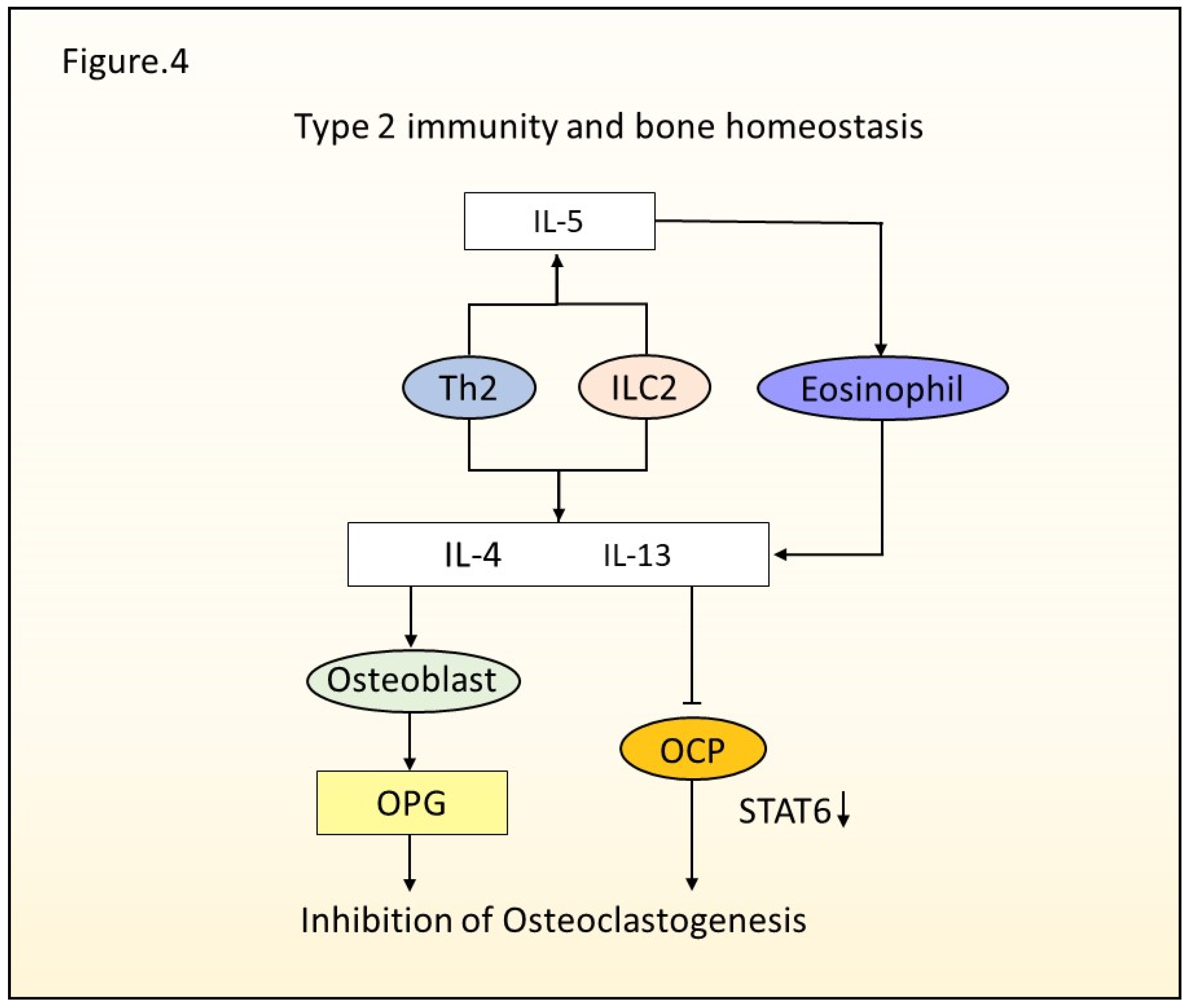 Ijms 23 01104 g004 Ijms 23 01104 g004
