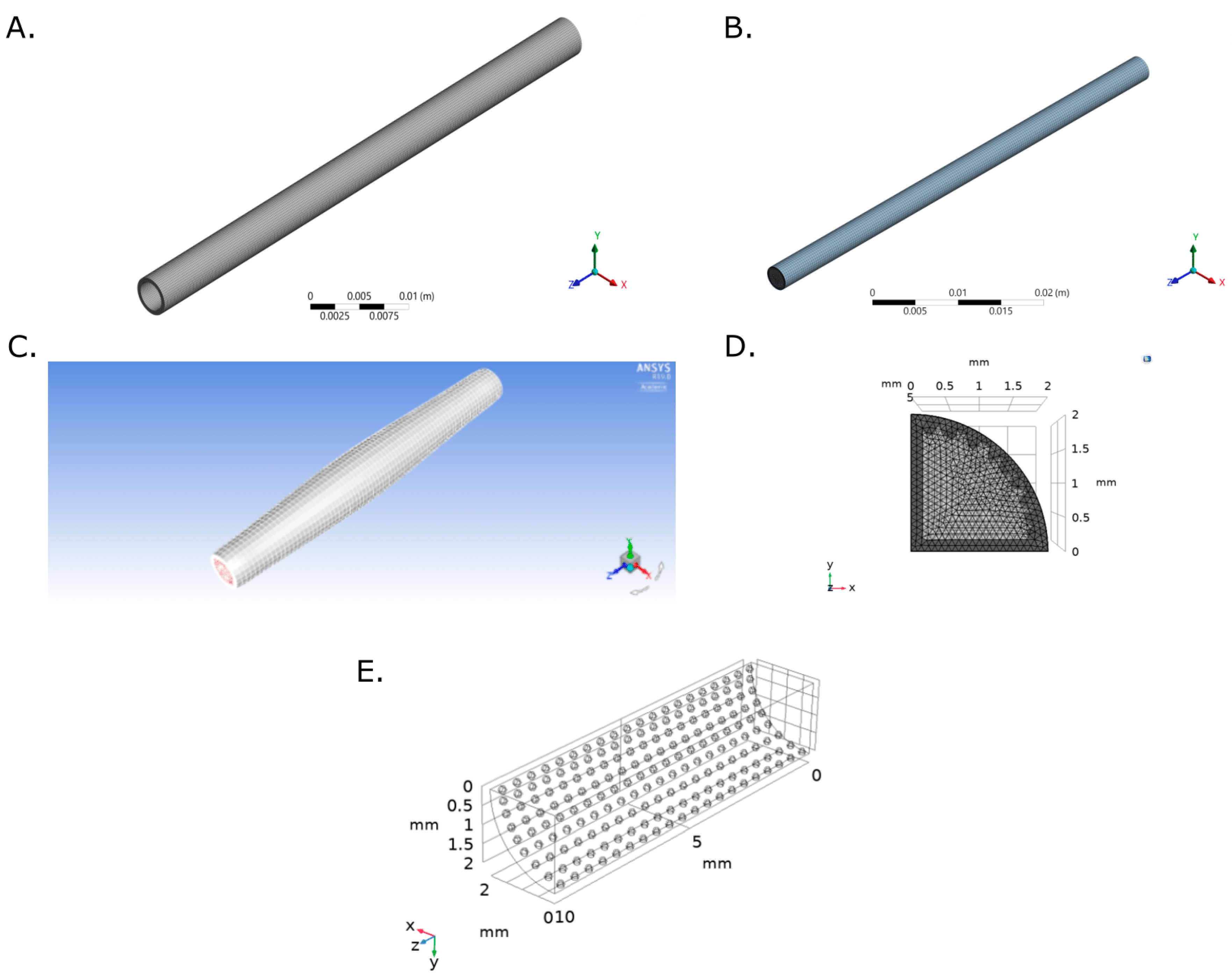 Ijms 23 01130 g008 Ijms 23 01130 g008