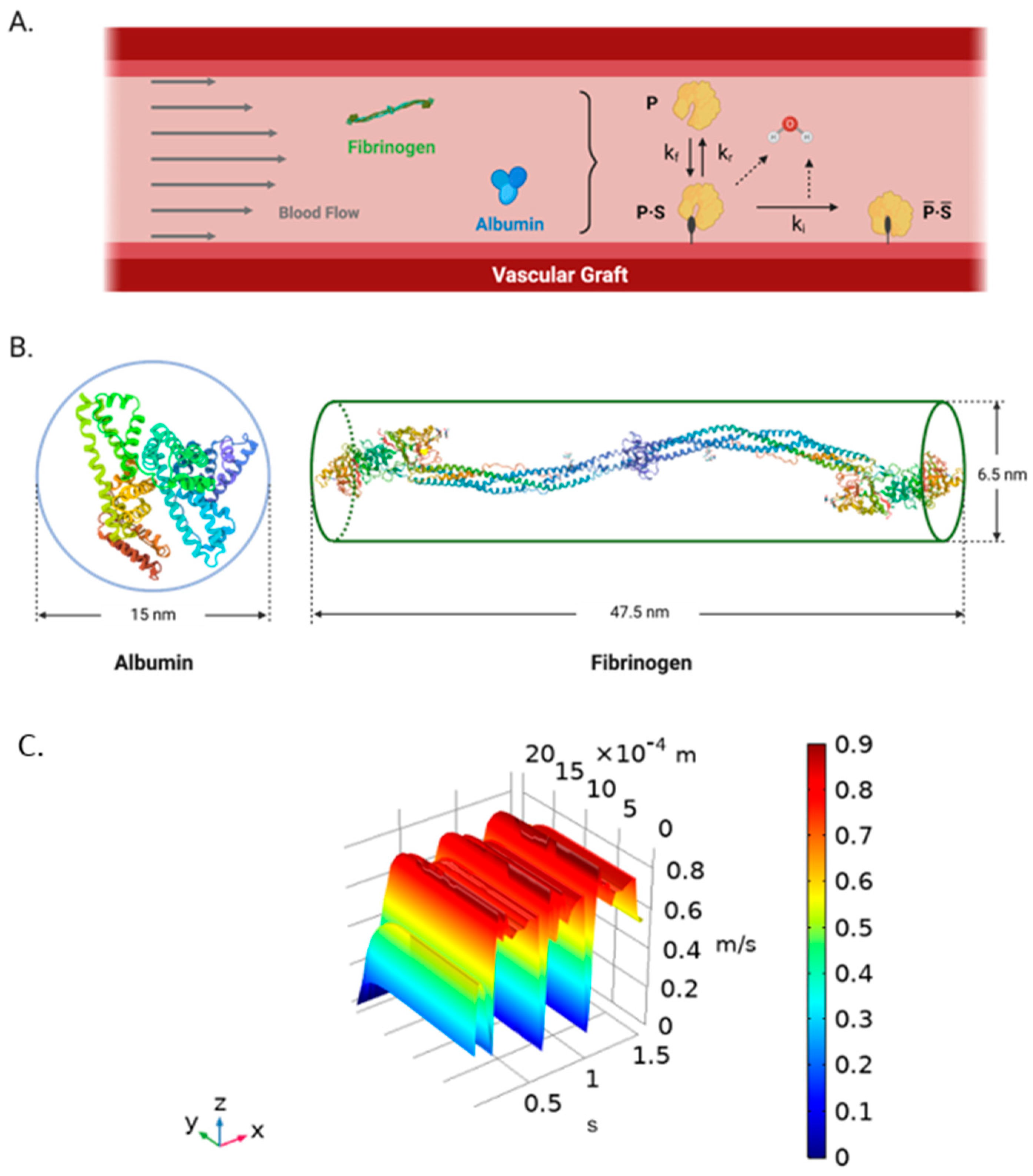 Ijms 23 01130 g009 Ijms 23 01130 g009