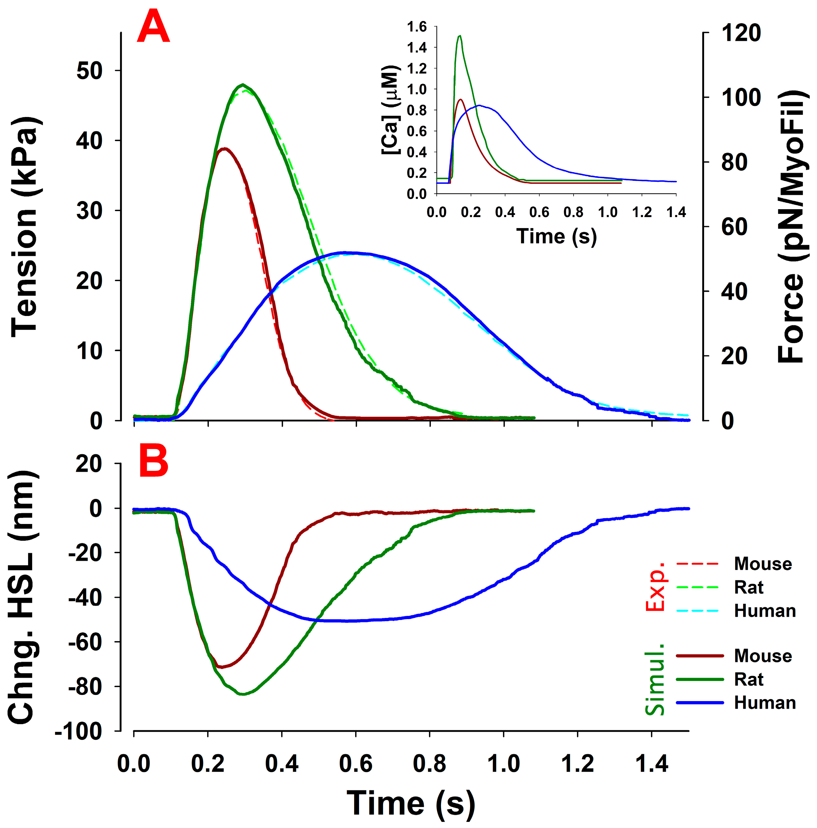 Ijms 23 01135 g002 Ijms 23 01135 g002
