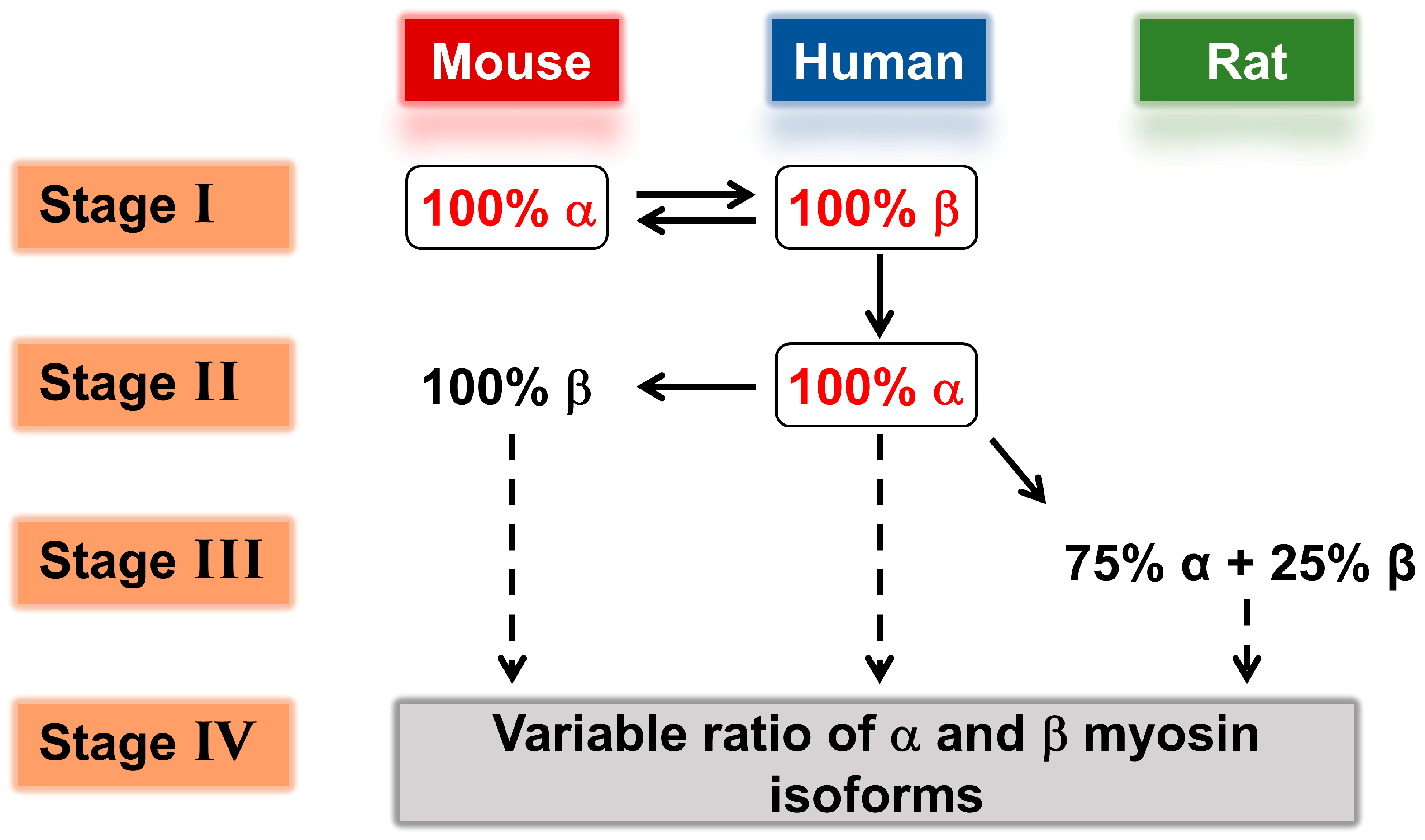 Ijms 23 01135 g003 Ijms 23 01135 g003