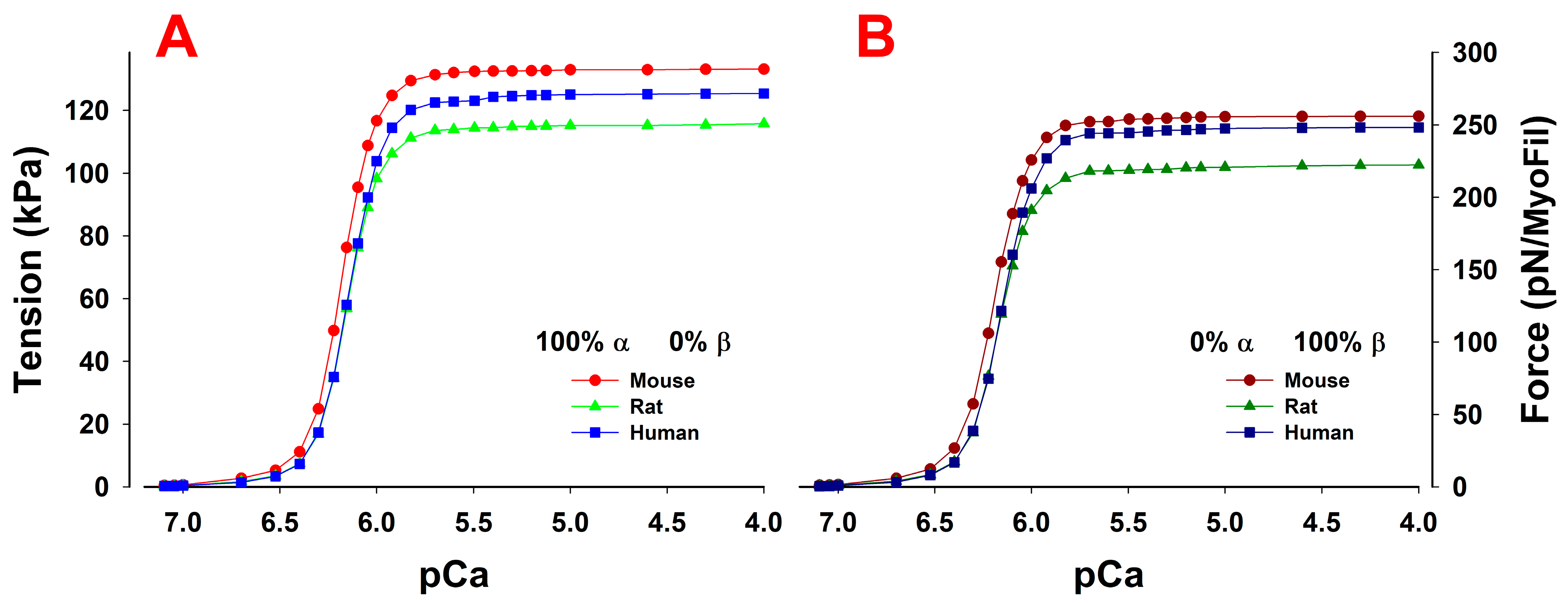 Ijms 23 01135 g006 Ijms 23 01135 g006