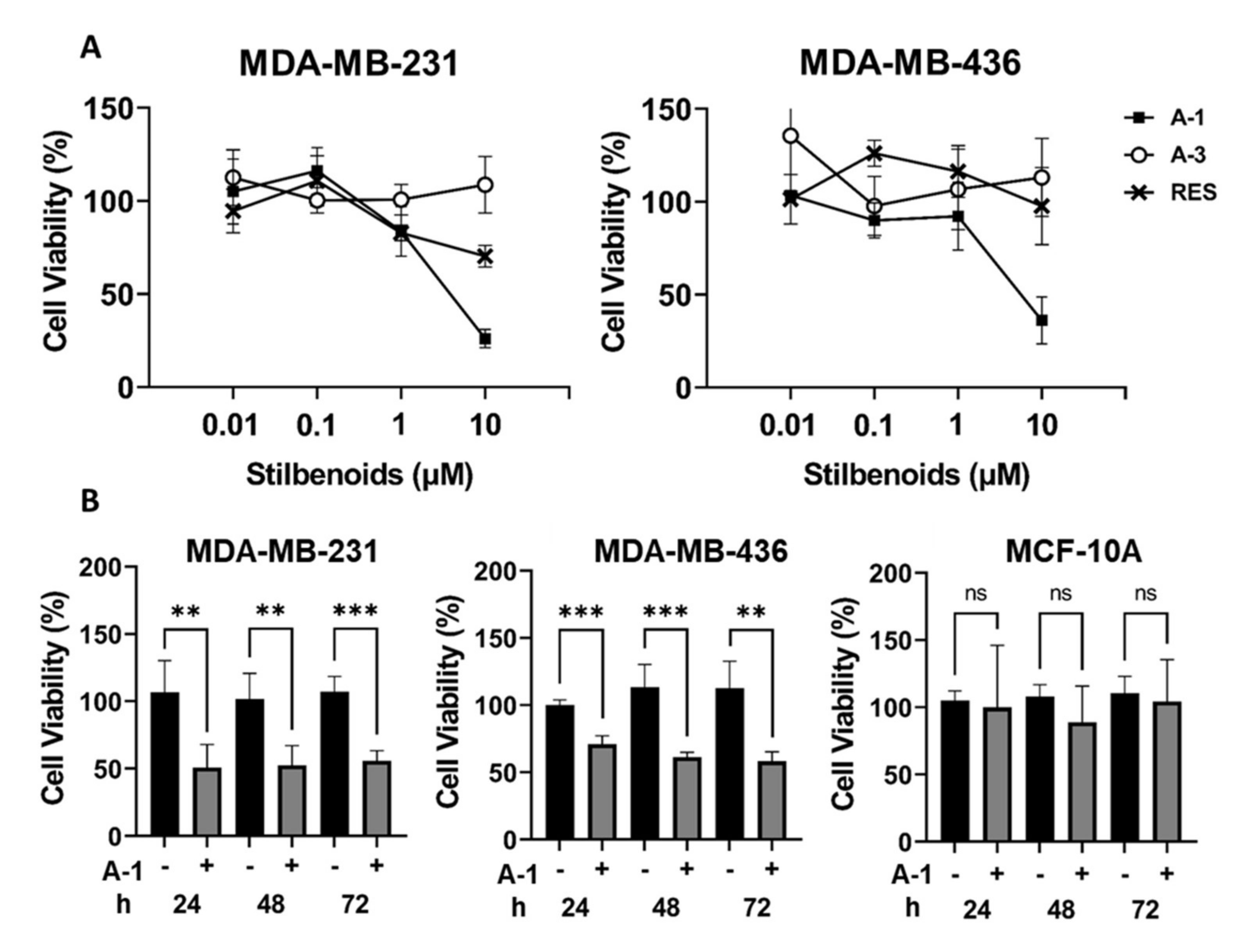 Ijms 23 01139 g003 Ijms 23 01139 g003