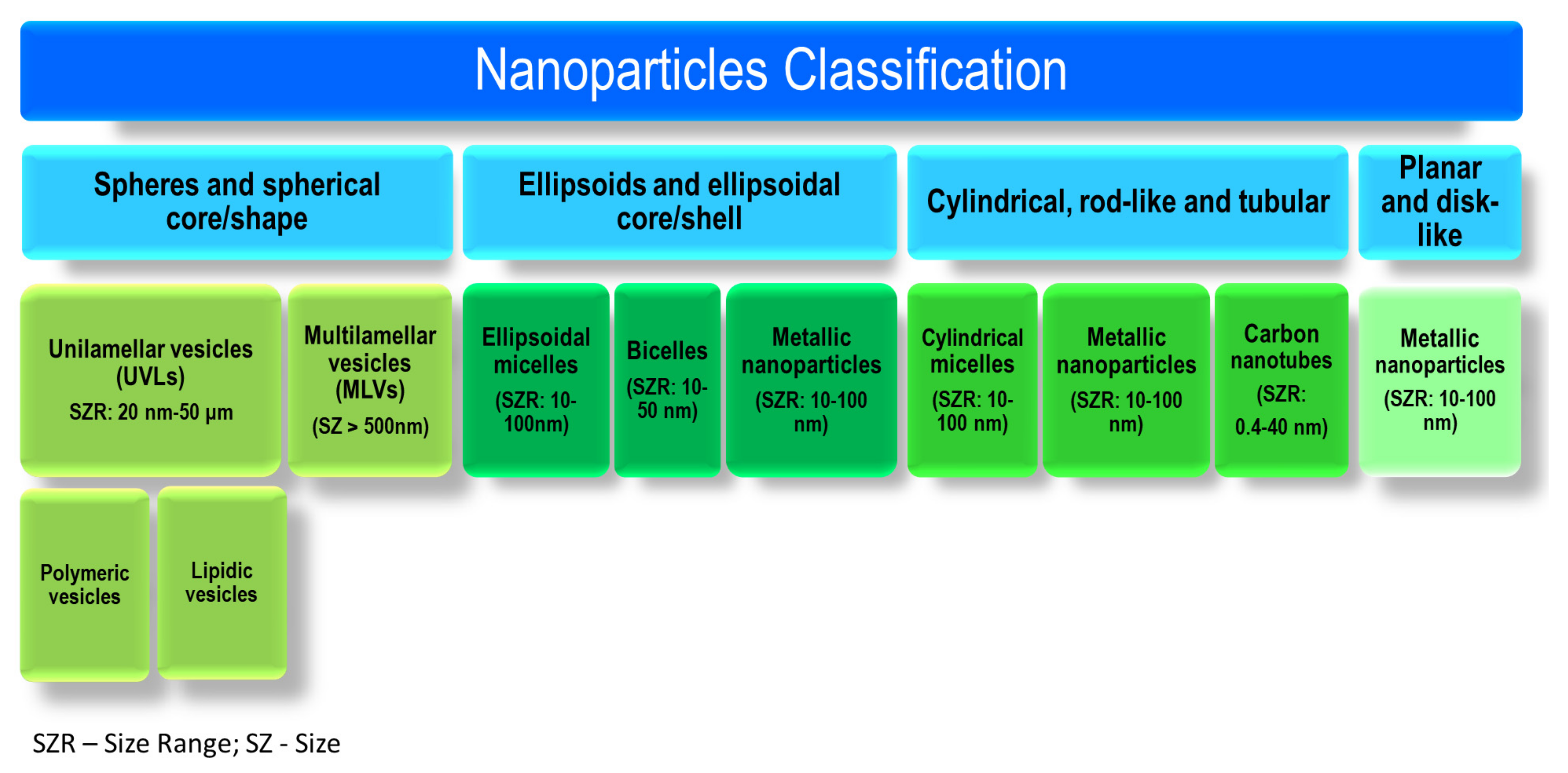 Ijms 23 01140 g002 Ijms 23 01140 g002