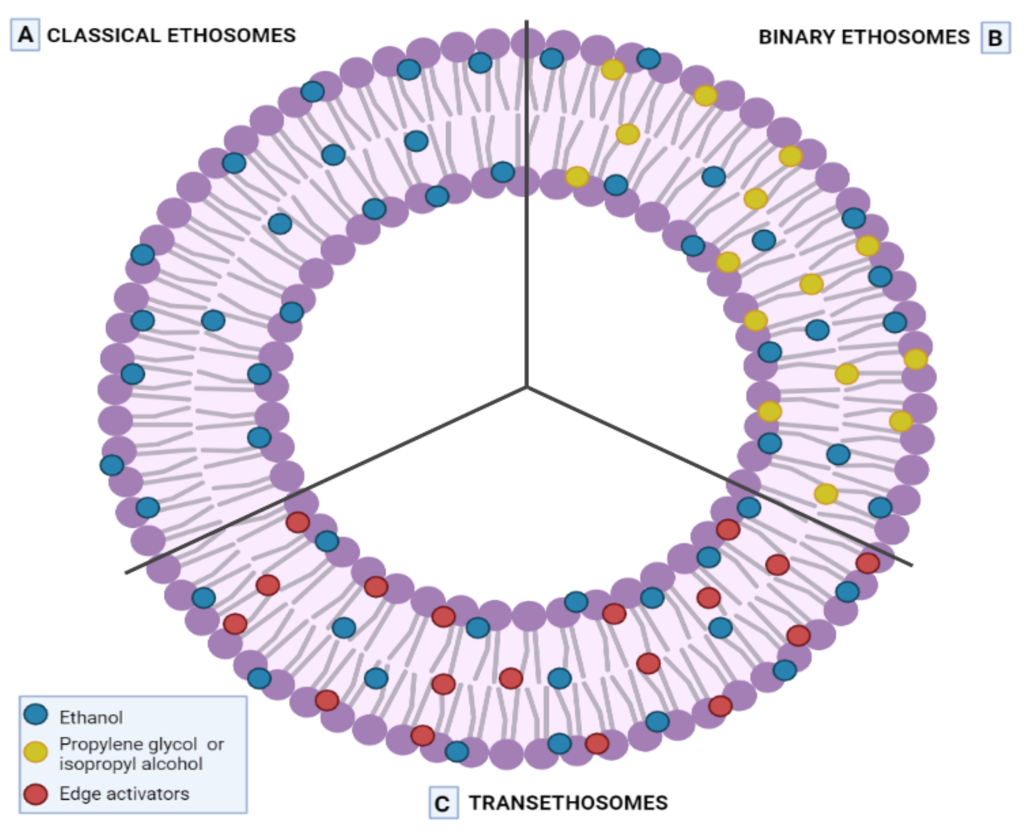 Ijms 23 01140 g005 Ijms 23 01140 g005