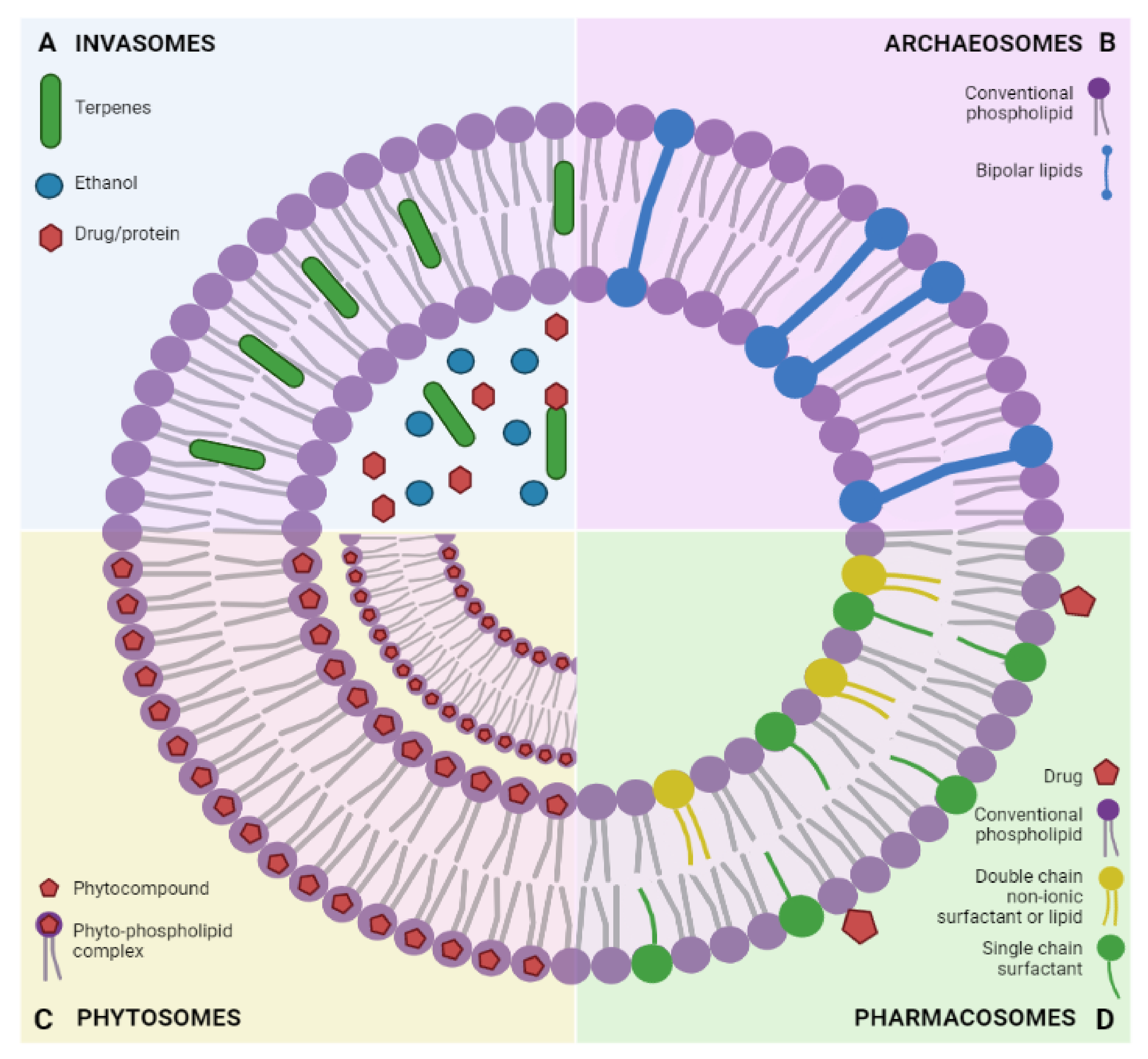 Ijms 23 01140 g008 Ijms 23 01140 g008