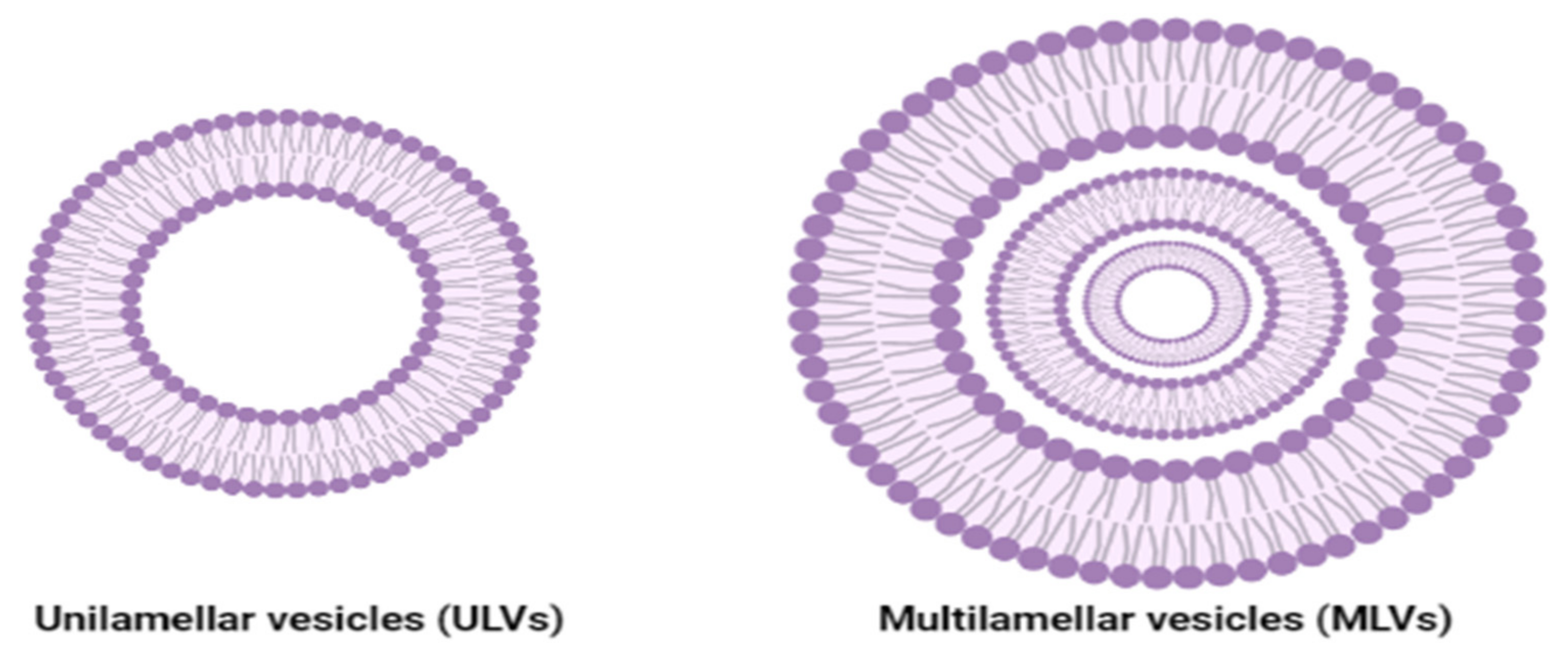 Ijms 23 01140 g011 Ijms 23 01140 g011