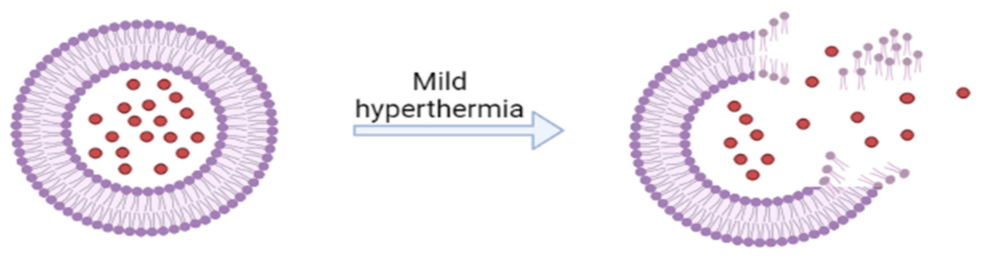 Ijms 23 01140 g012 Ijms 23 01140 g012