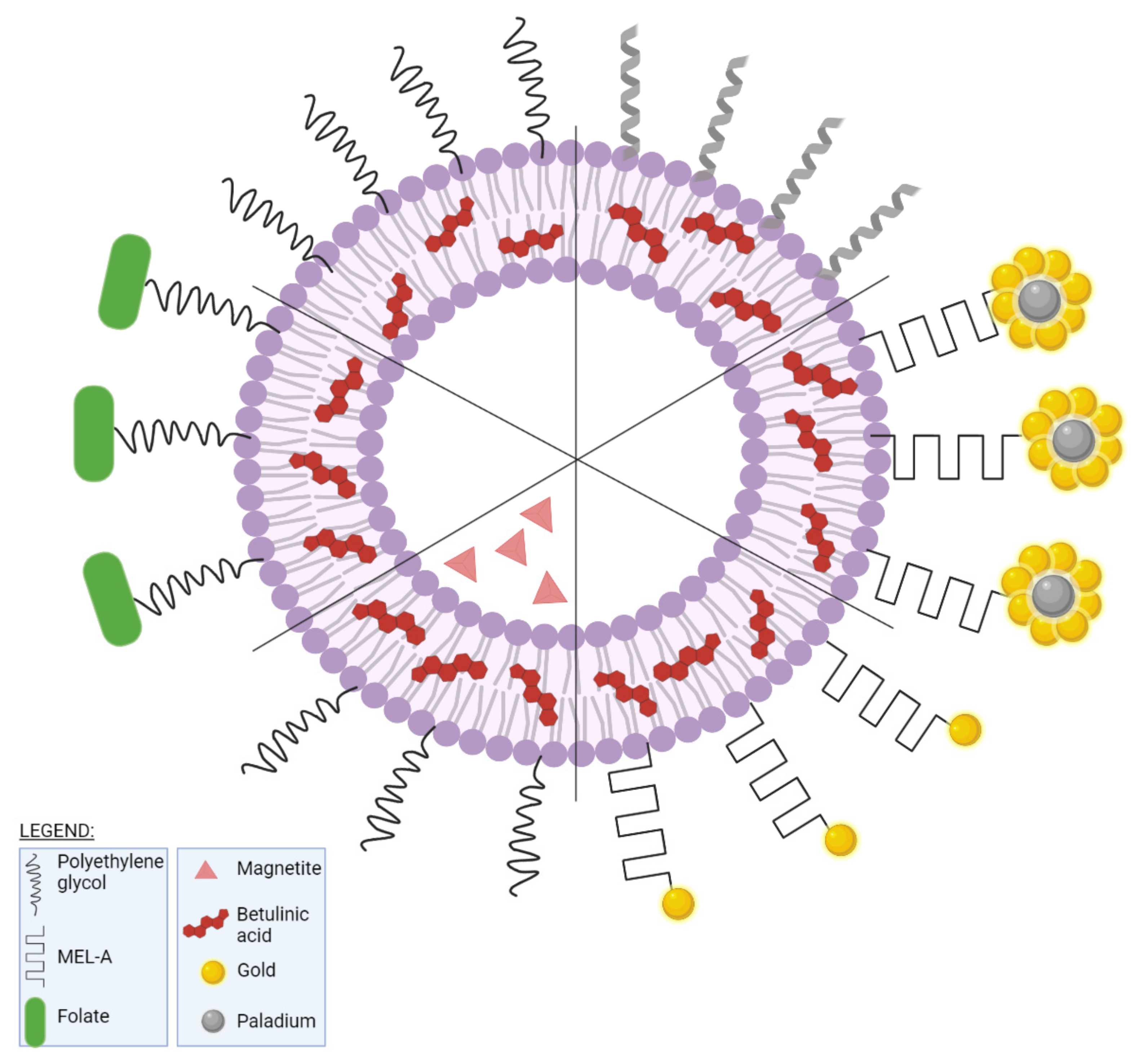 Ijms 23 01140 g017 Ijms 23 01140 g017