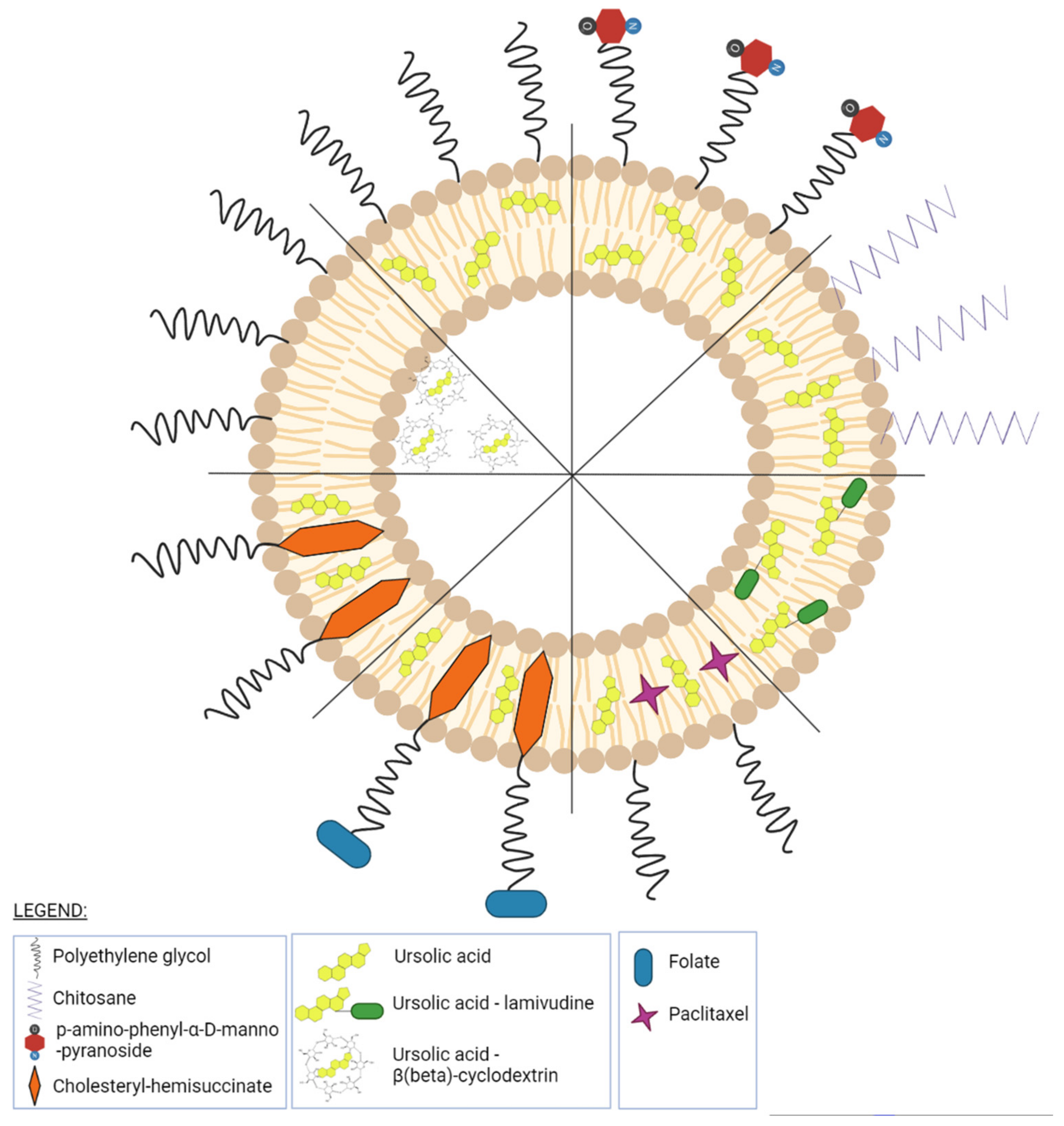 Ijms 23 01140 g023 Ijms 23 01140 g023