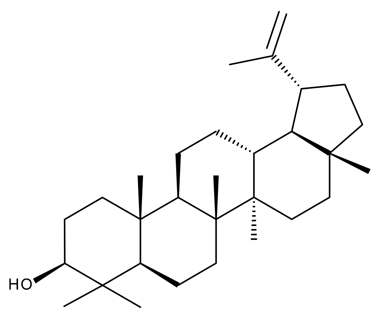 Ijms 23 01140 g024 Ijms 23 01140 g024
