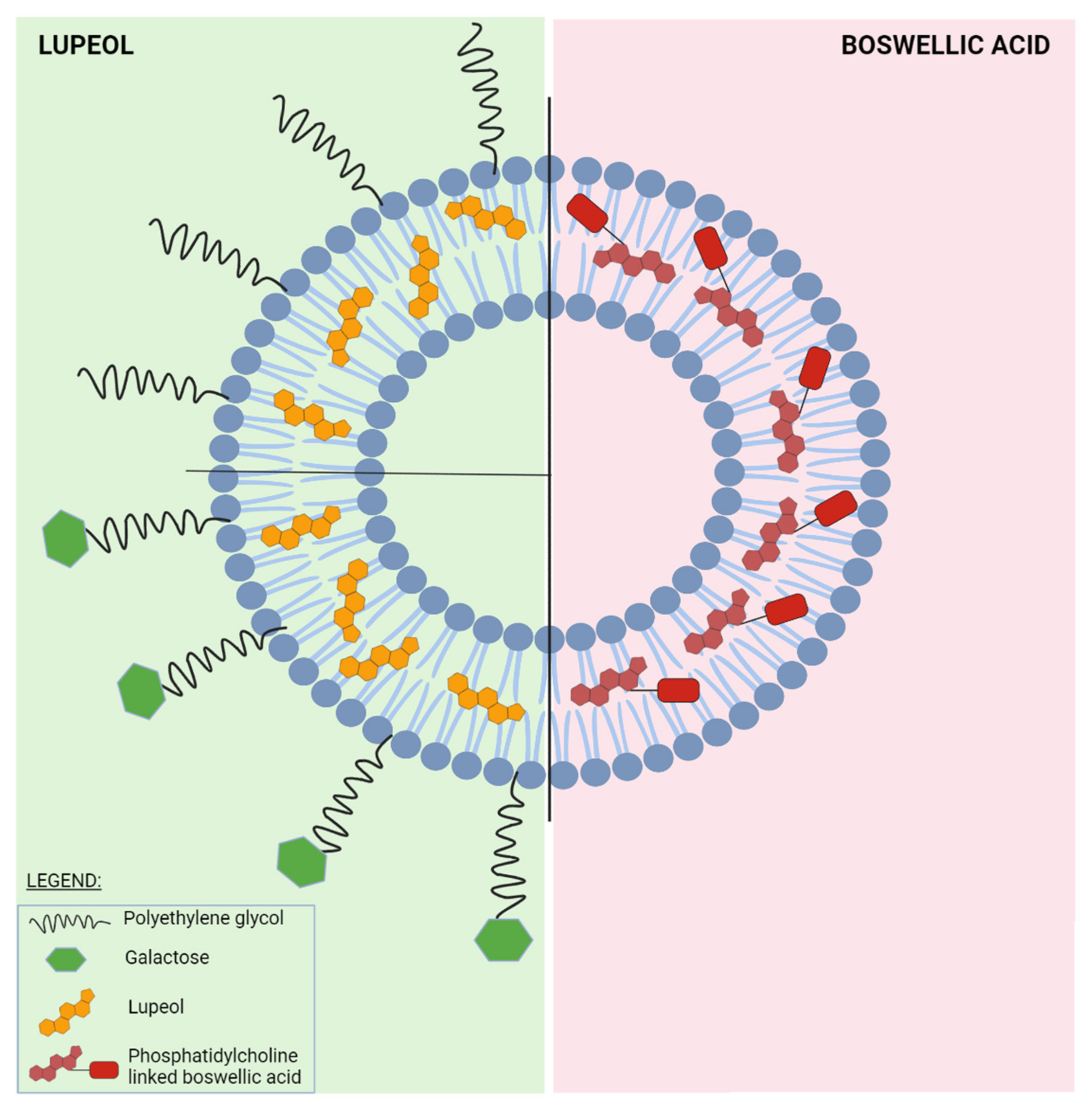 Ijms 23 01140 g025 Ijms 23 01140 g025